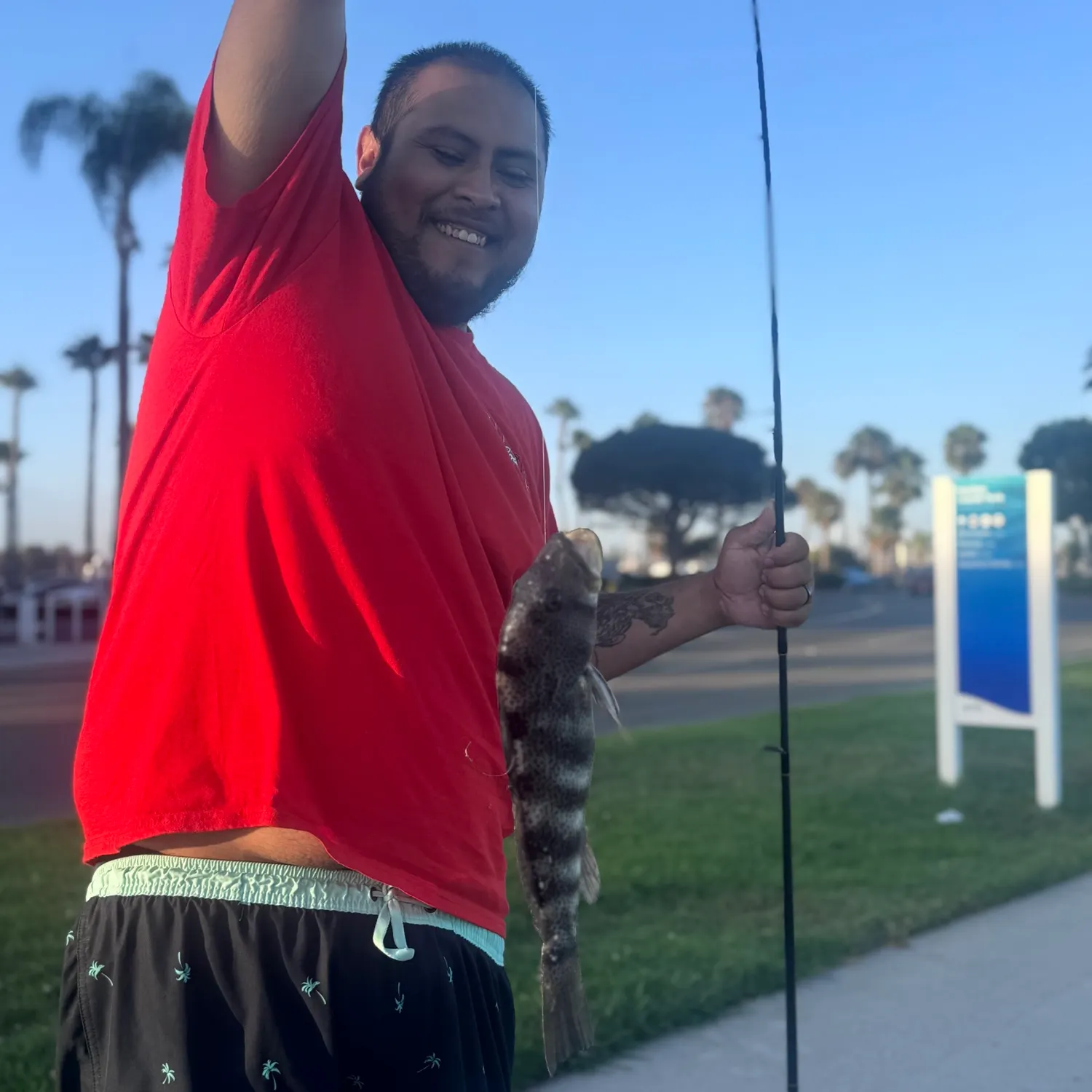 recently logged catches