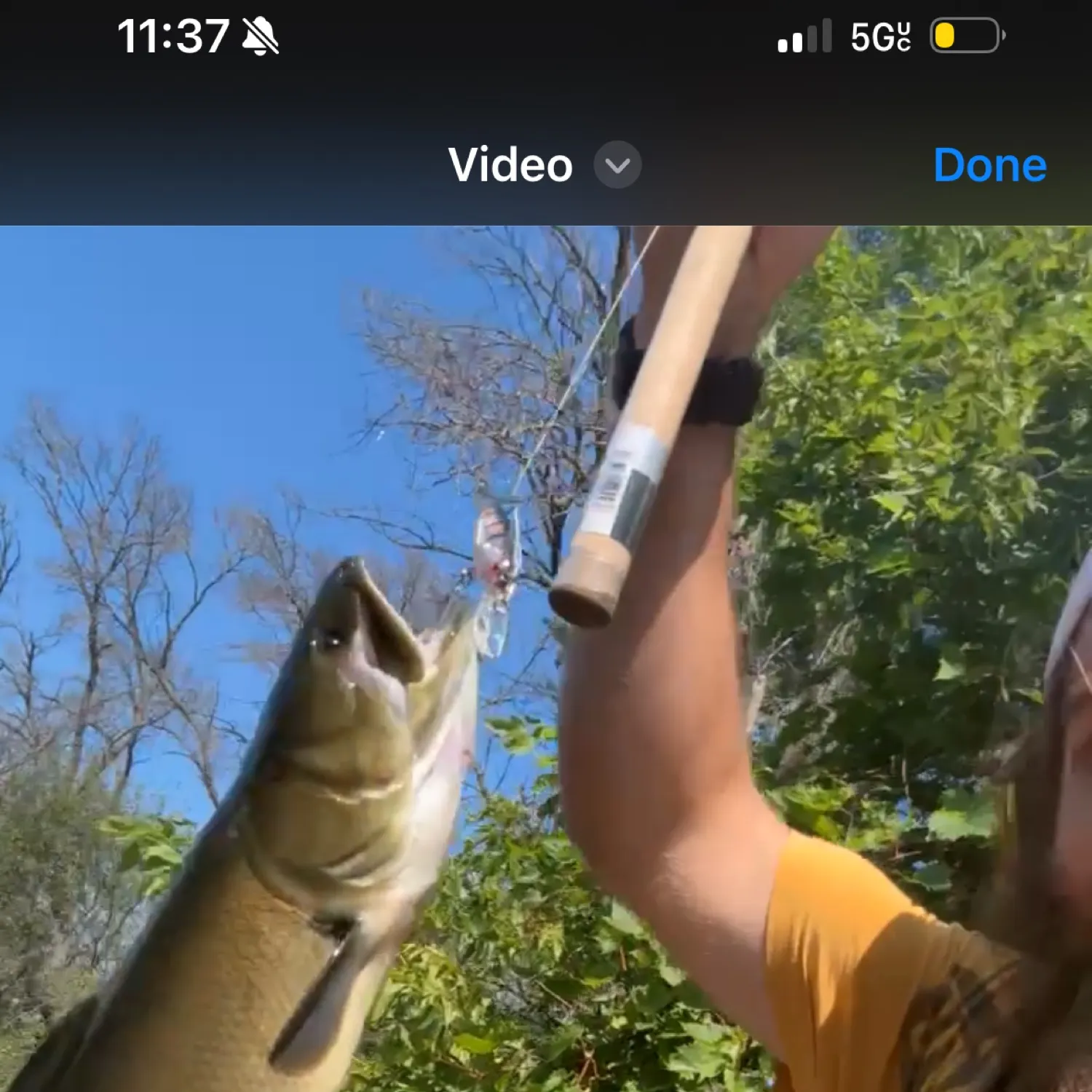 recently logged catches