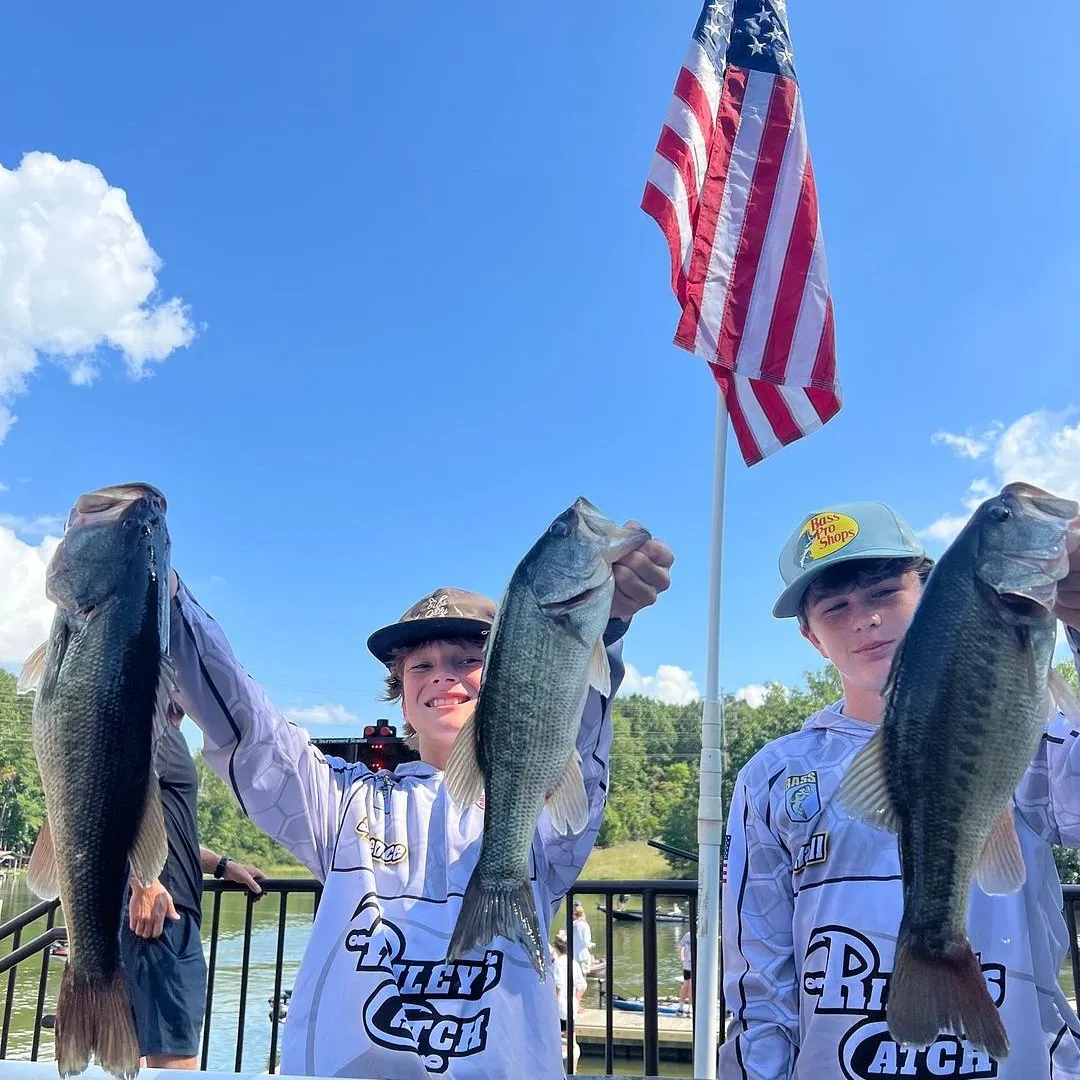 Largemouth bass caught on Fishbrain