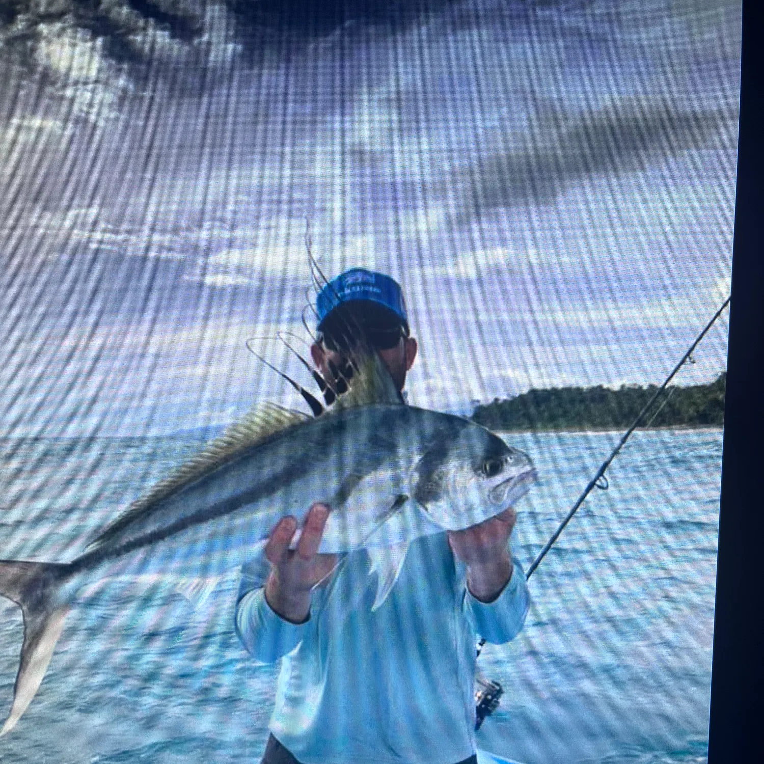 The most recent Roosterfish catches on Fishbrain