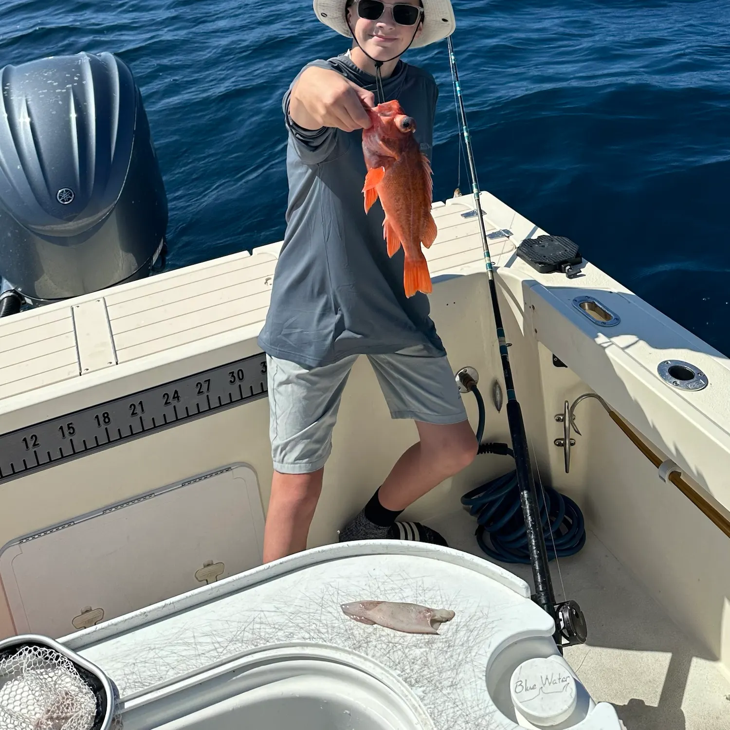 The most recent Vermilion rockfish catches on Fishbrain