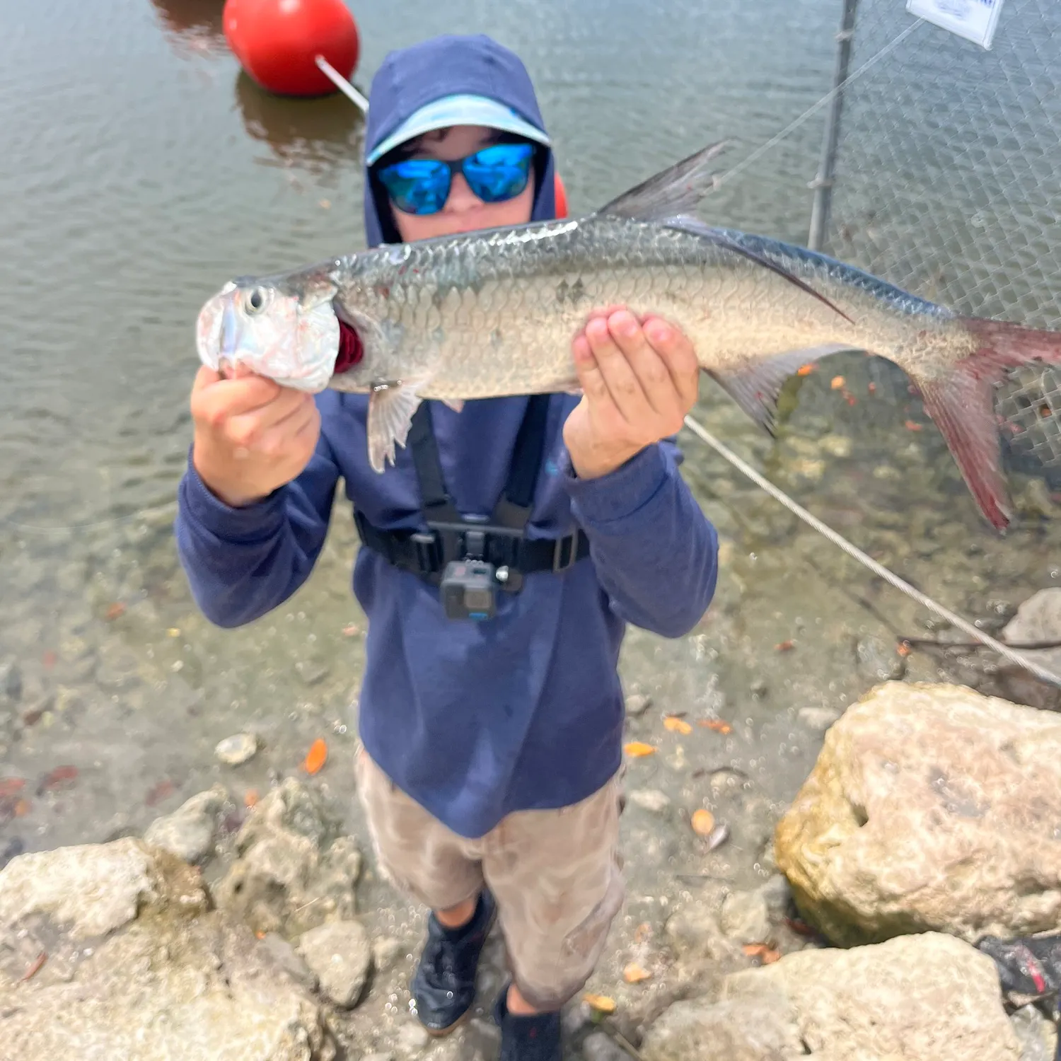 The most recent Tarpon catches on Fishbrain