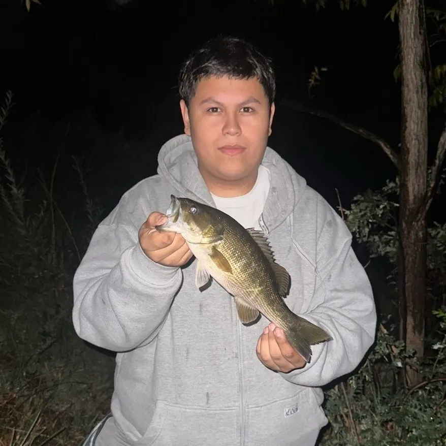 Smallmouth bass caught on Fishbrain