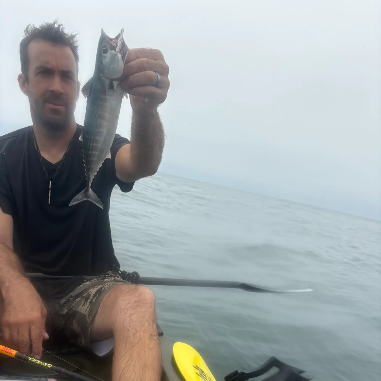 The most recent Bullet tuna catches on Fishbrain