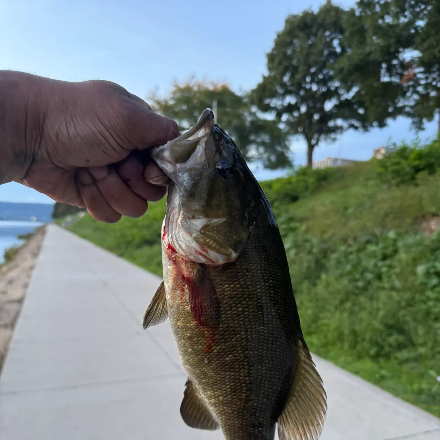 catch