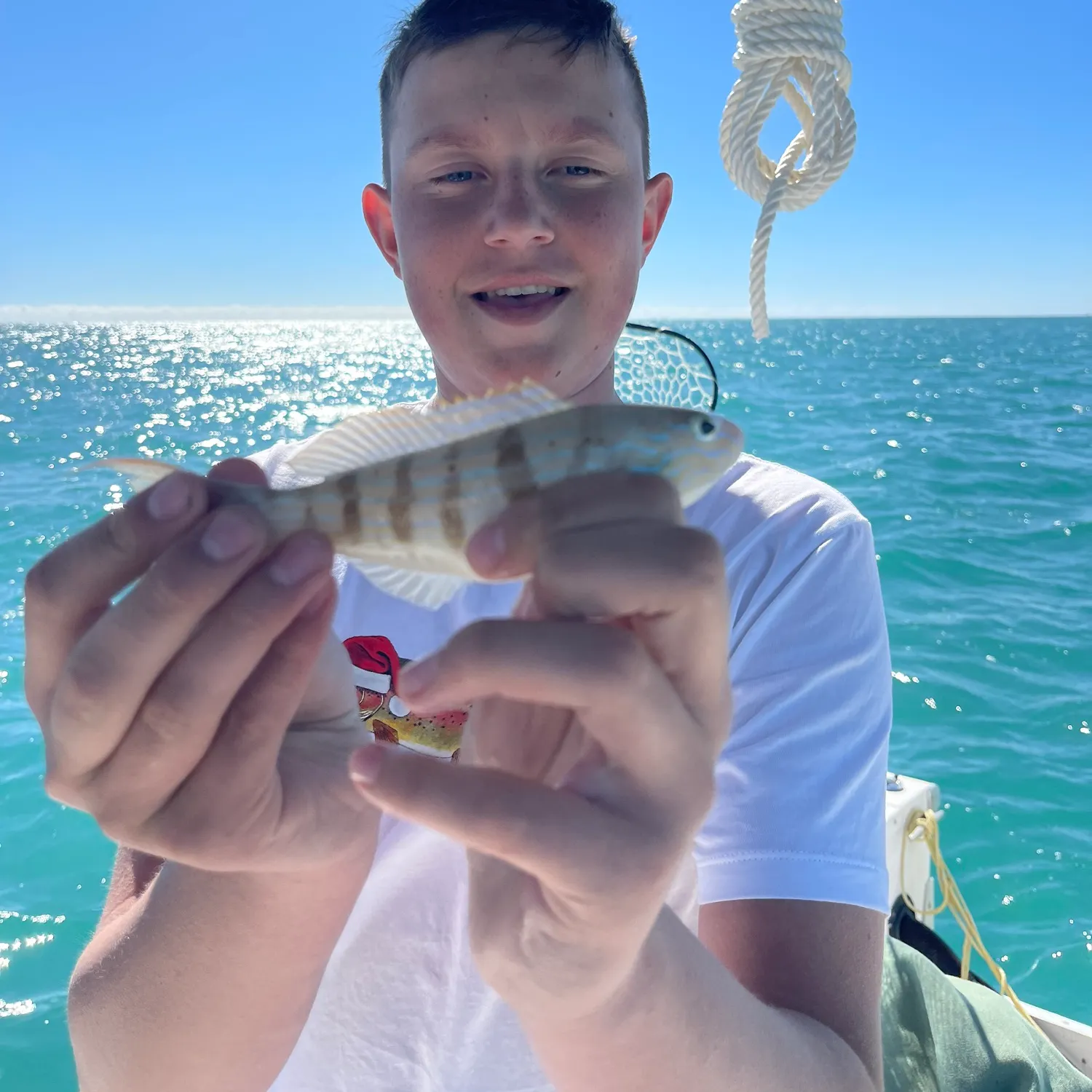 The most recent Common logperch catches on Fishbrain