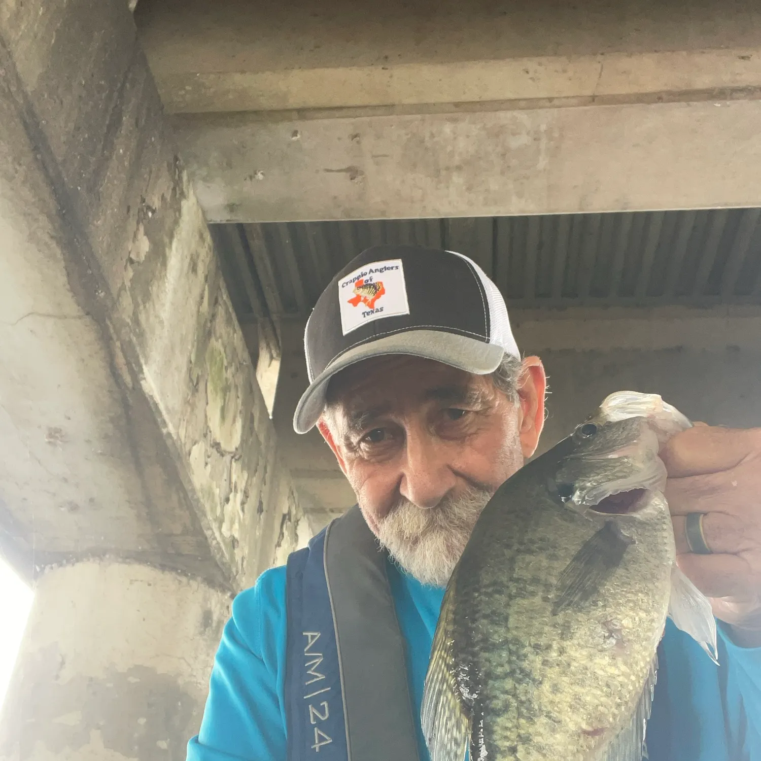 White crappie caught on Fishbrain