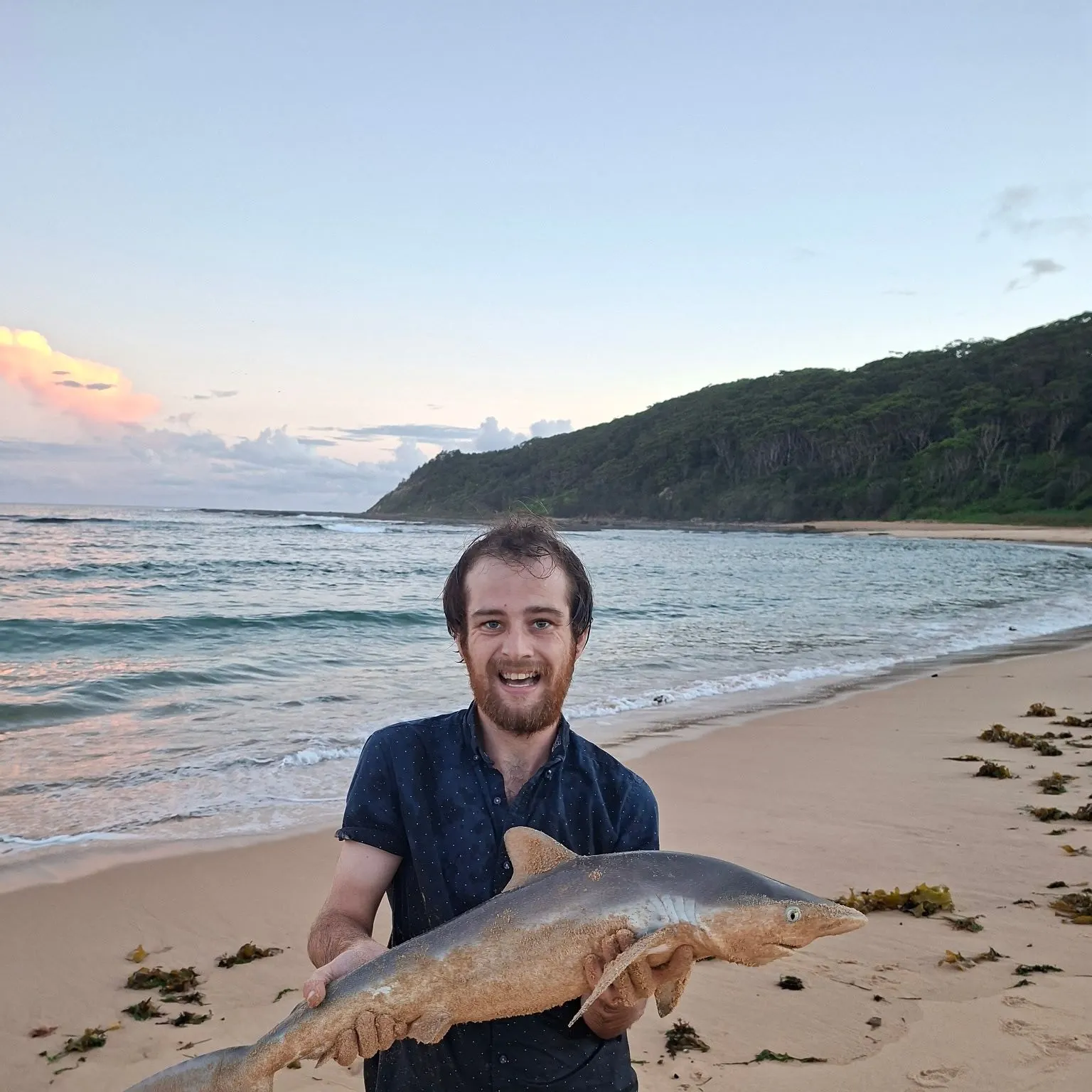 The most recent Dusky shark catches on Fishbrain
