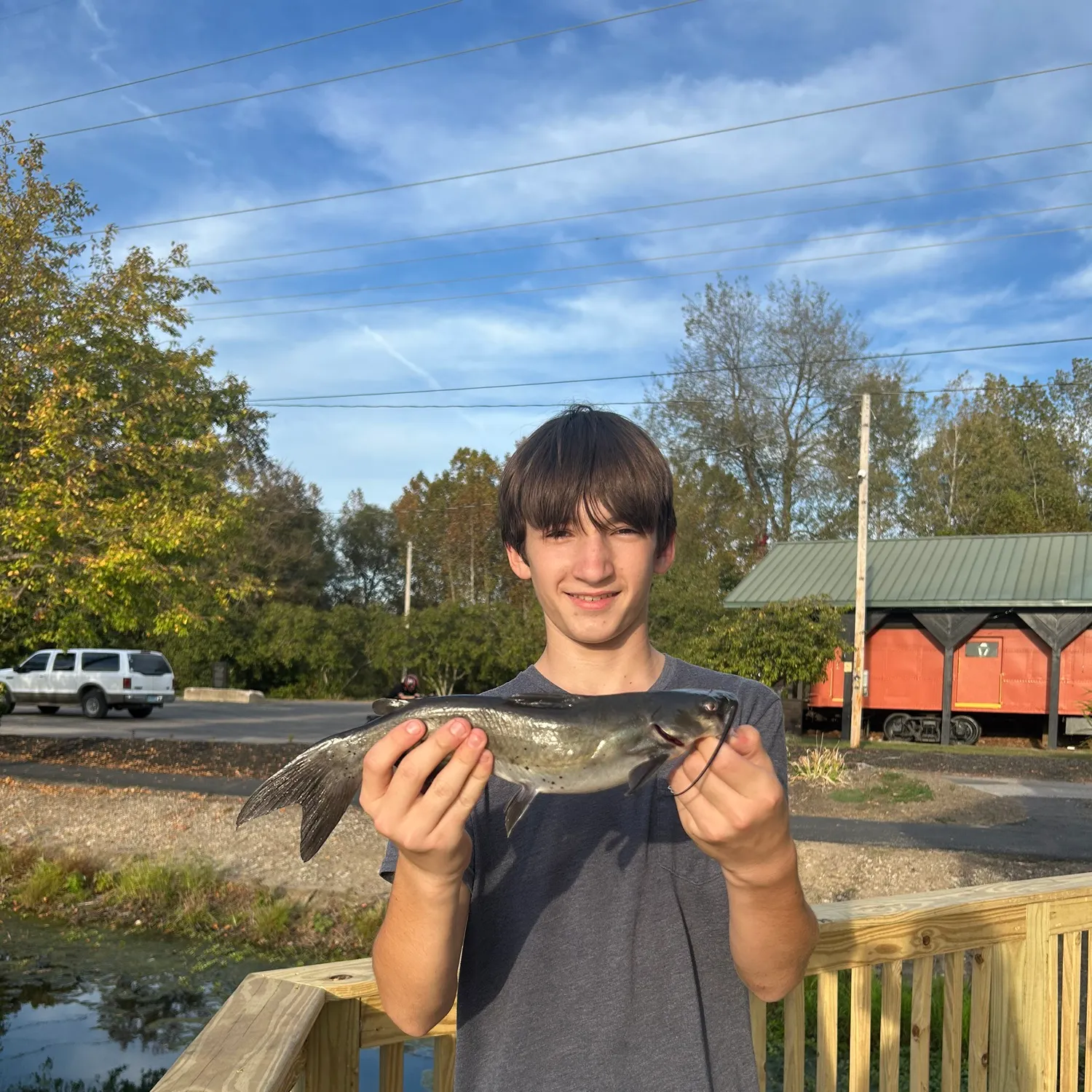 Channel catfish caught on Fishbrain