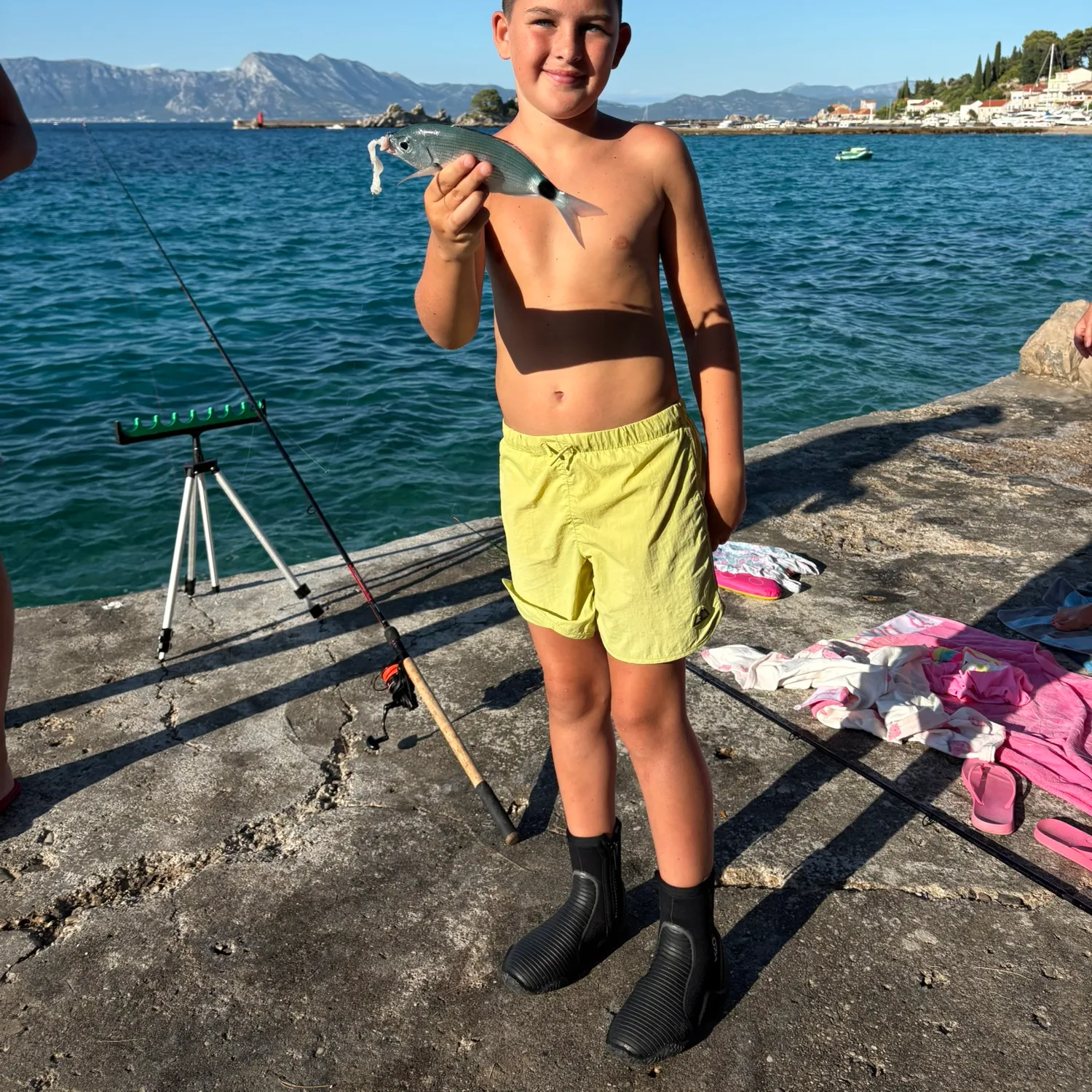 Saddled seabream caught on Fishbrain