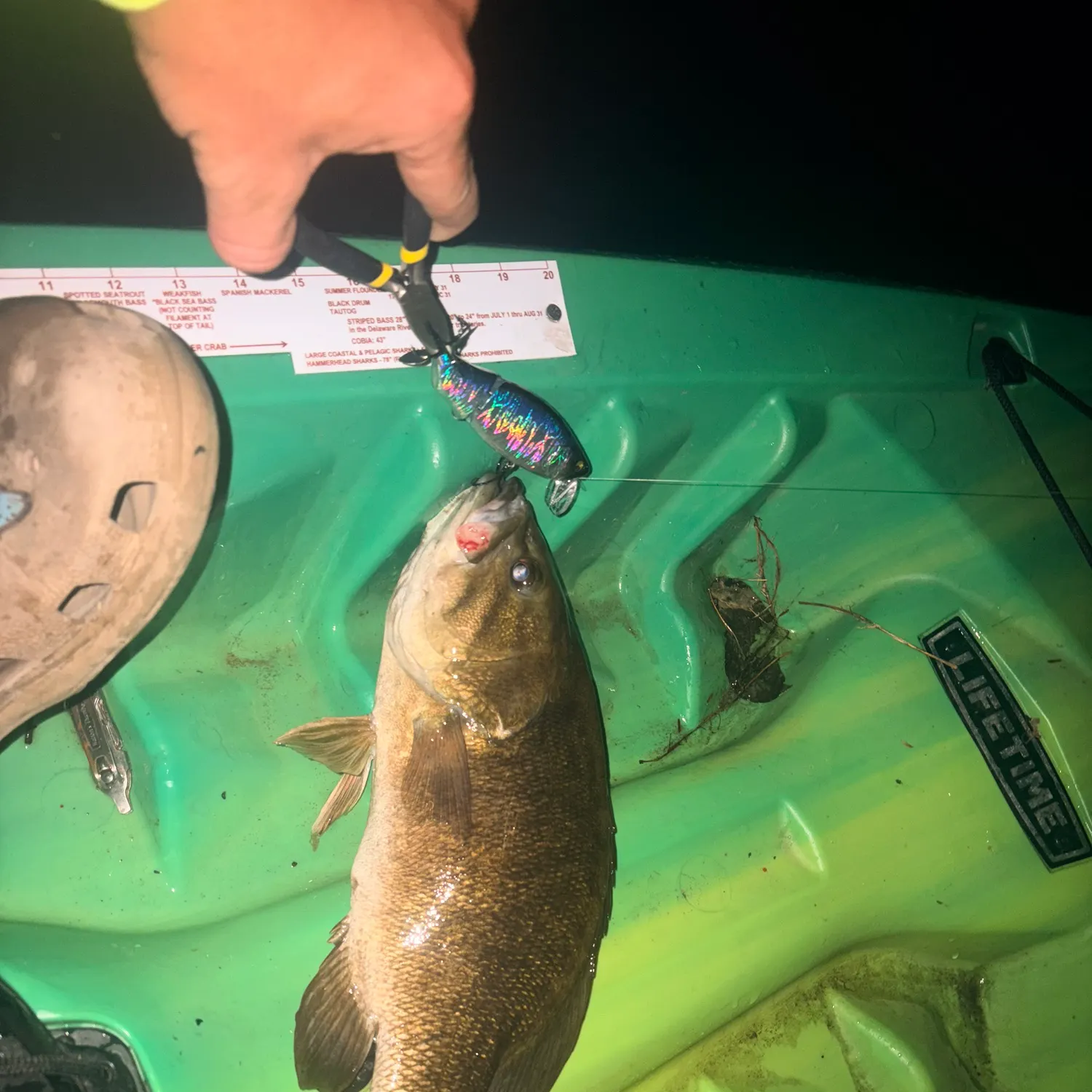Smallmouth bass caught on Fishbrain