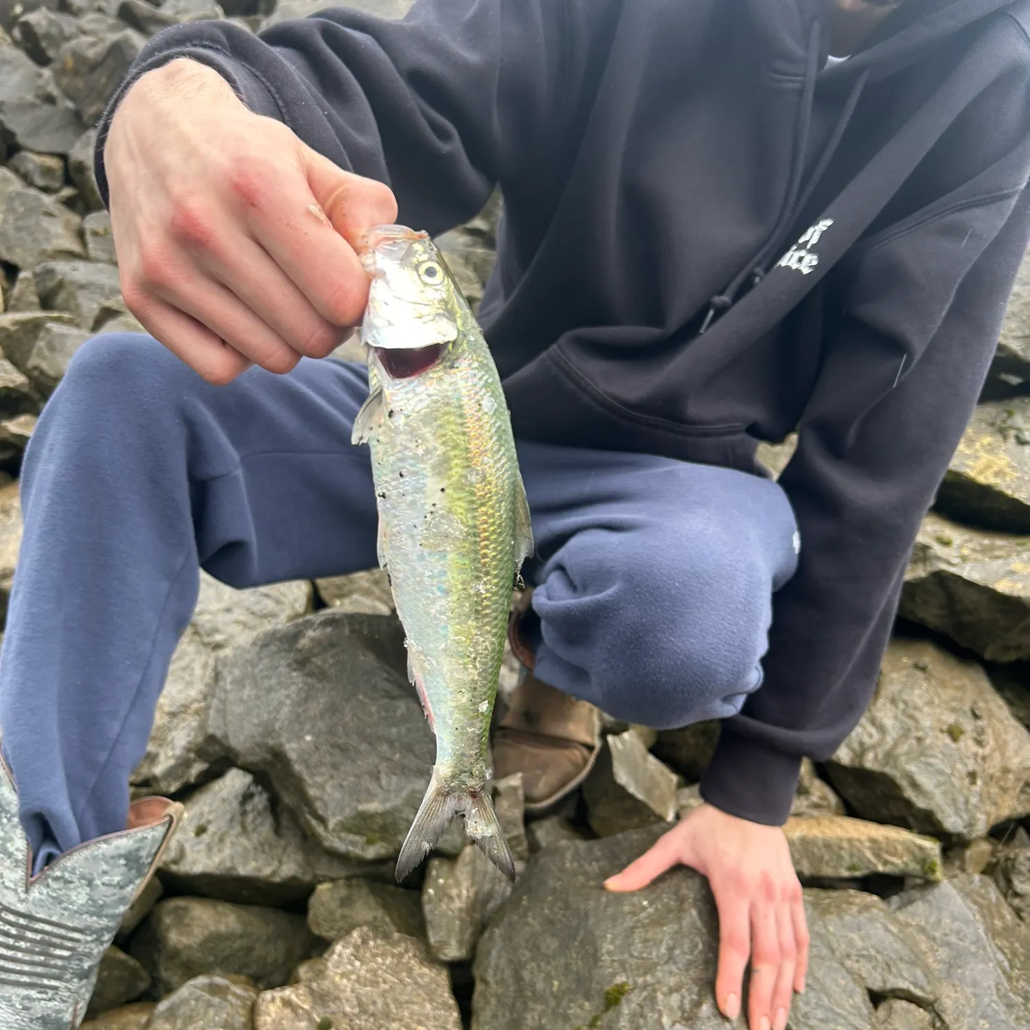most liked catch image