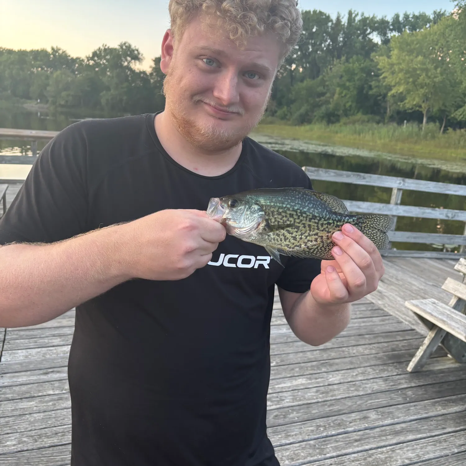 The most recent Black crappie catches on Fishbrain