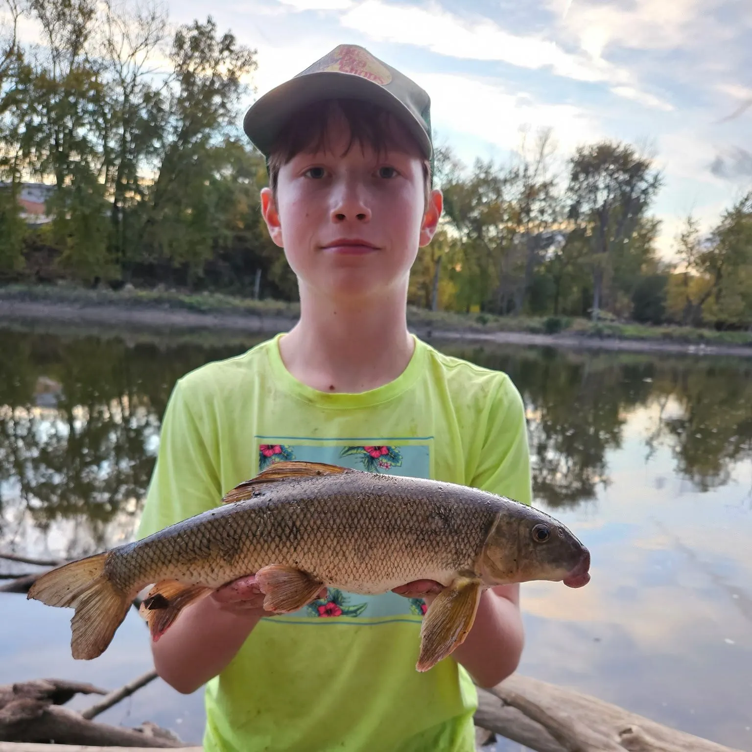 White sucker caught on Fishbrain