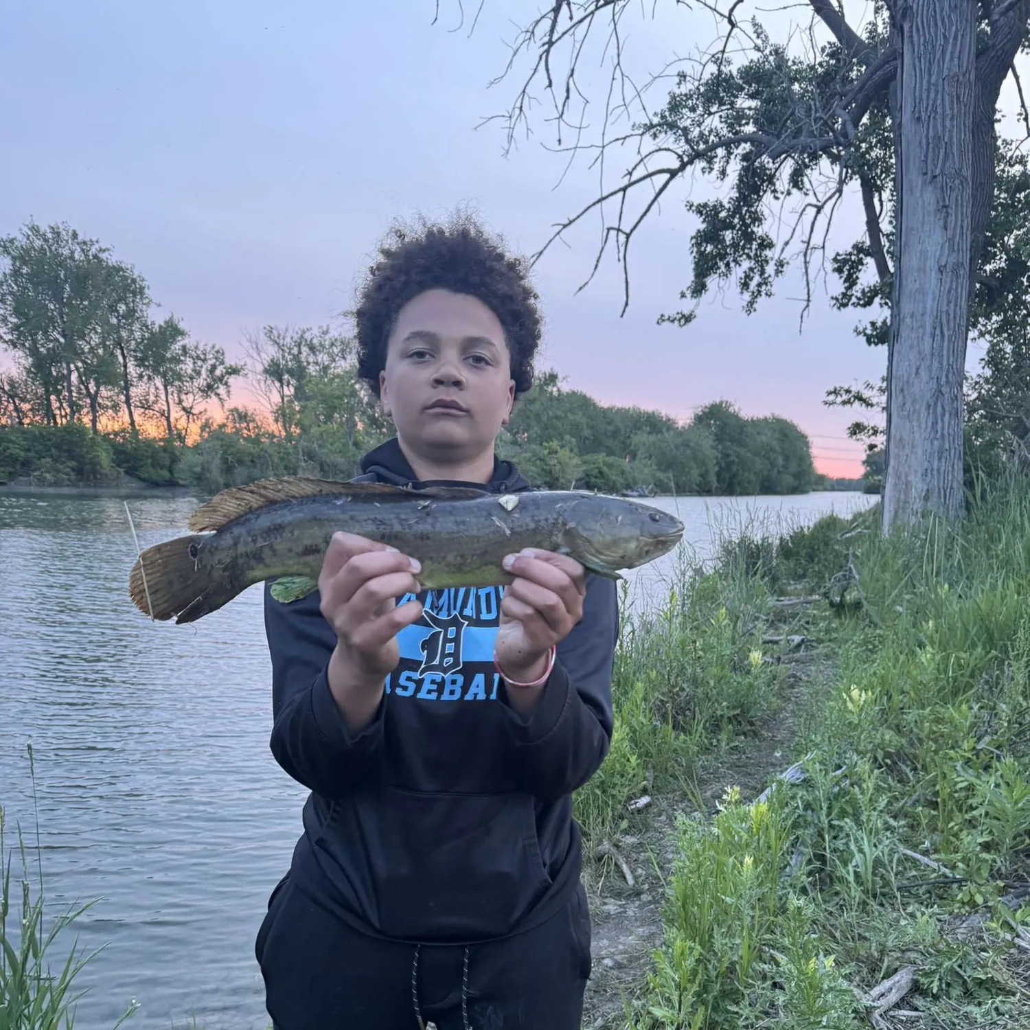 The most recent Eyetail bowfin catches on Fishbrain