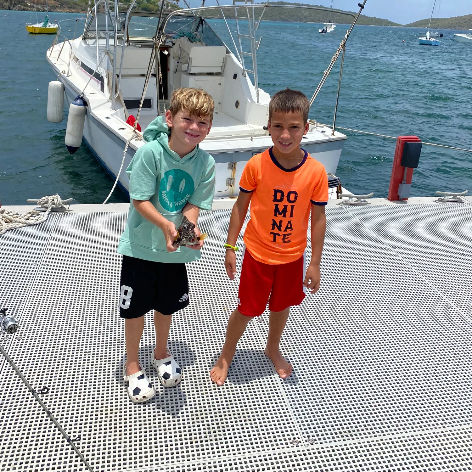 Shortnose boxfish caught on Fishbrain