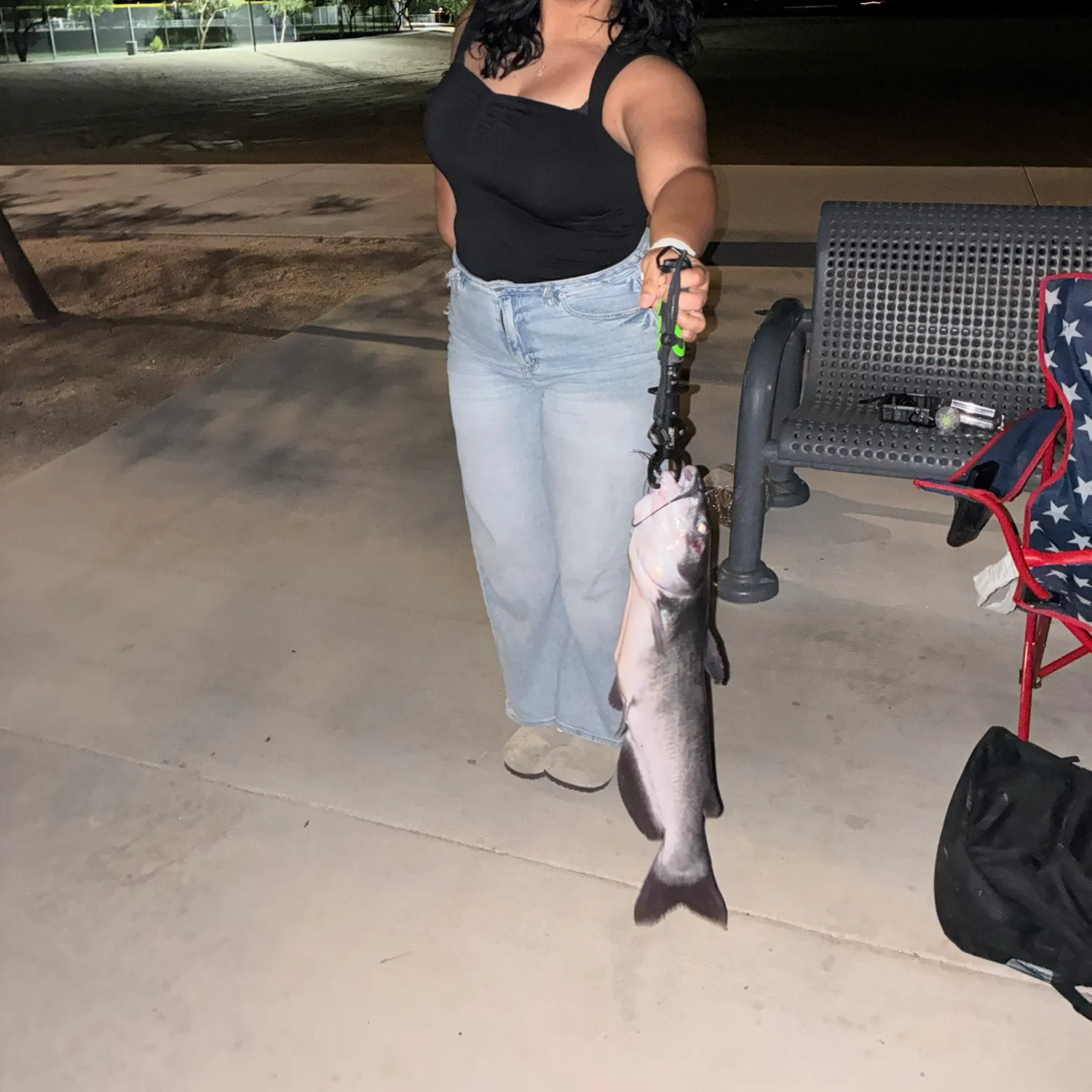 Channel catfish caught on Fishbrain