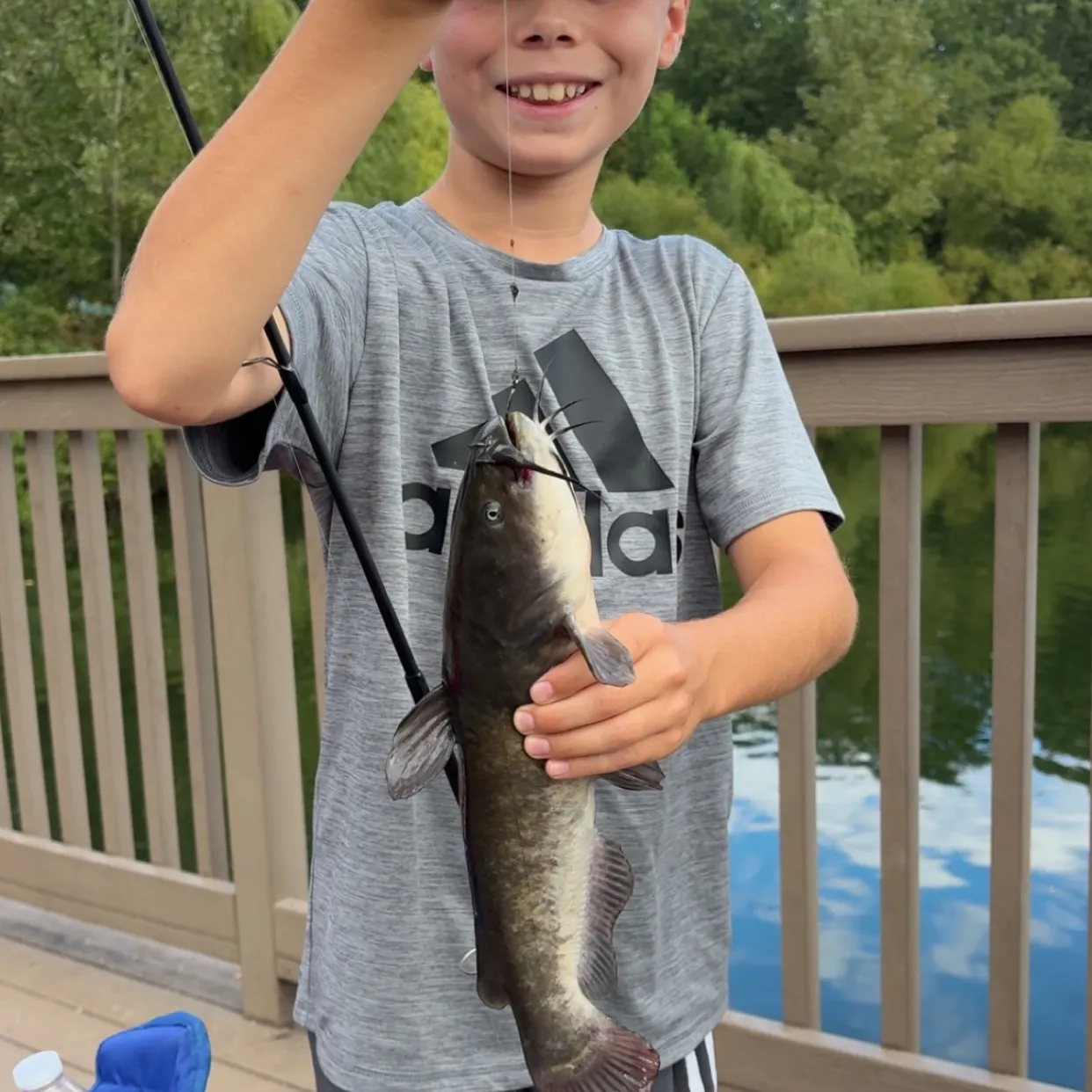 Black bullhead caught on Fishbrain