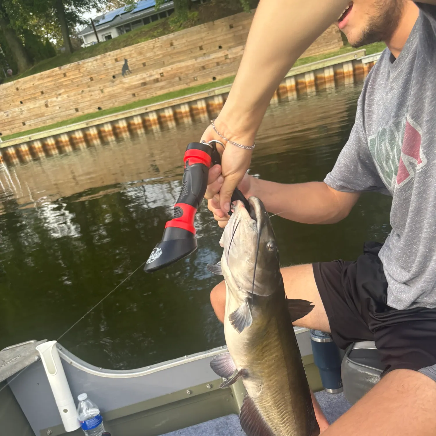 Channel catfish caught on Fishbrain