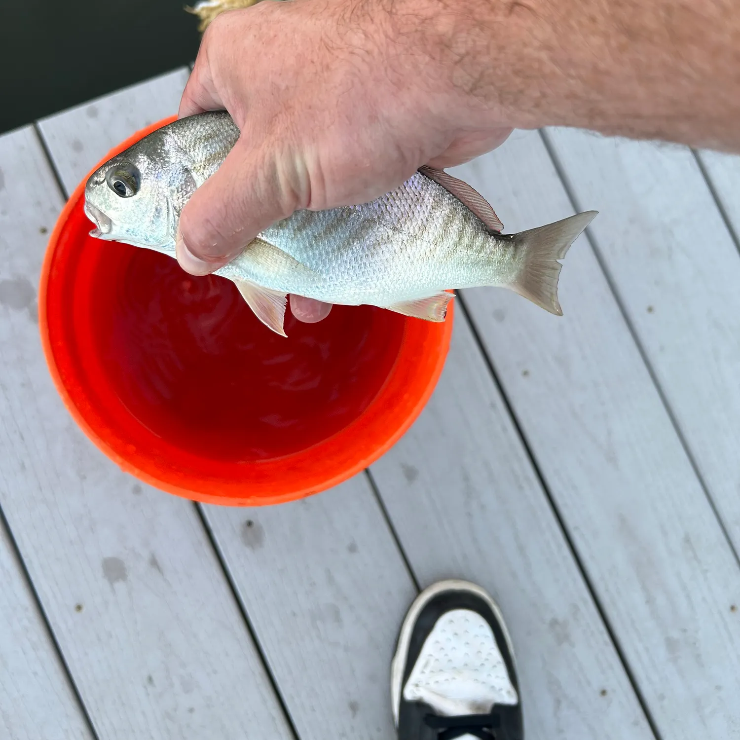 catch