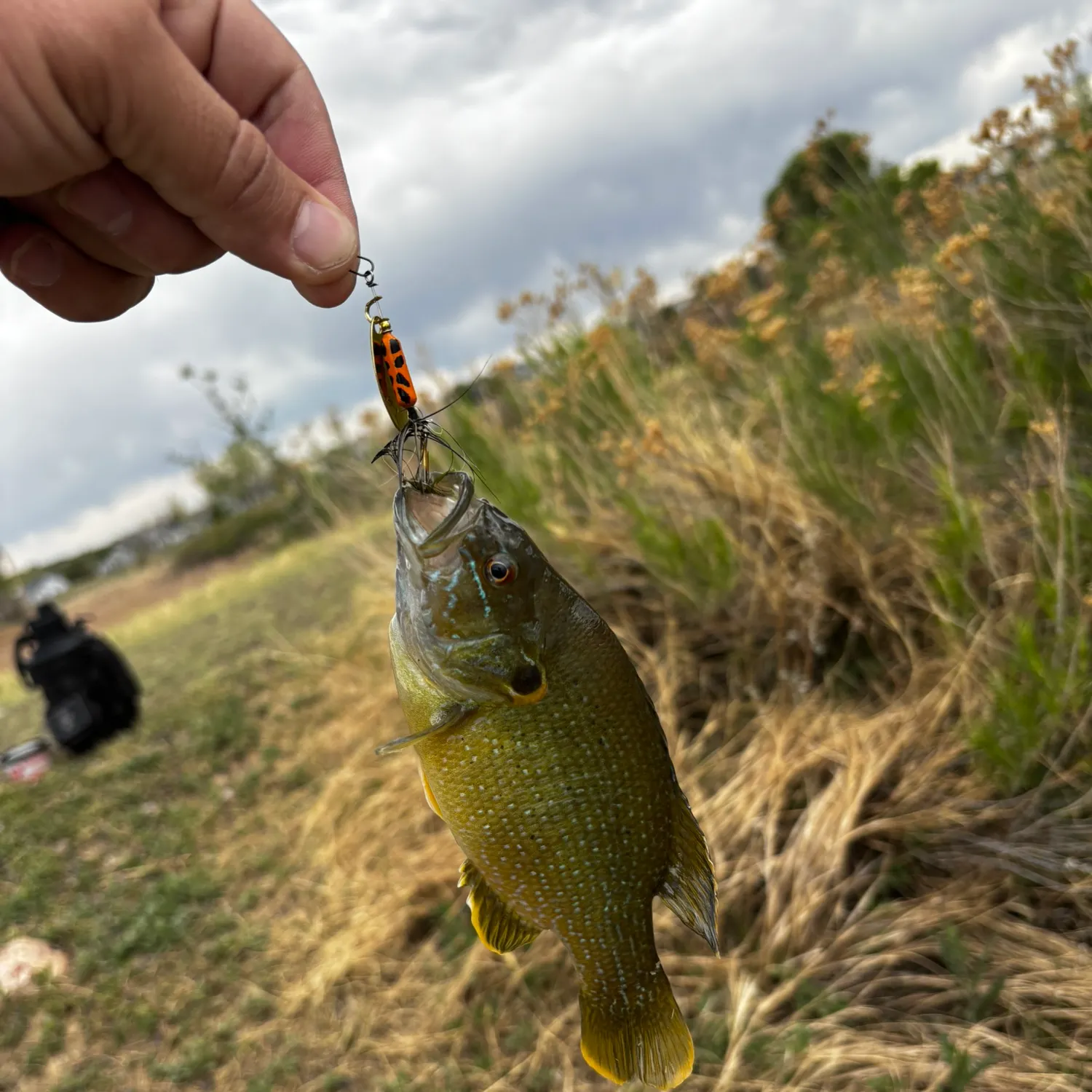 catch