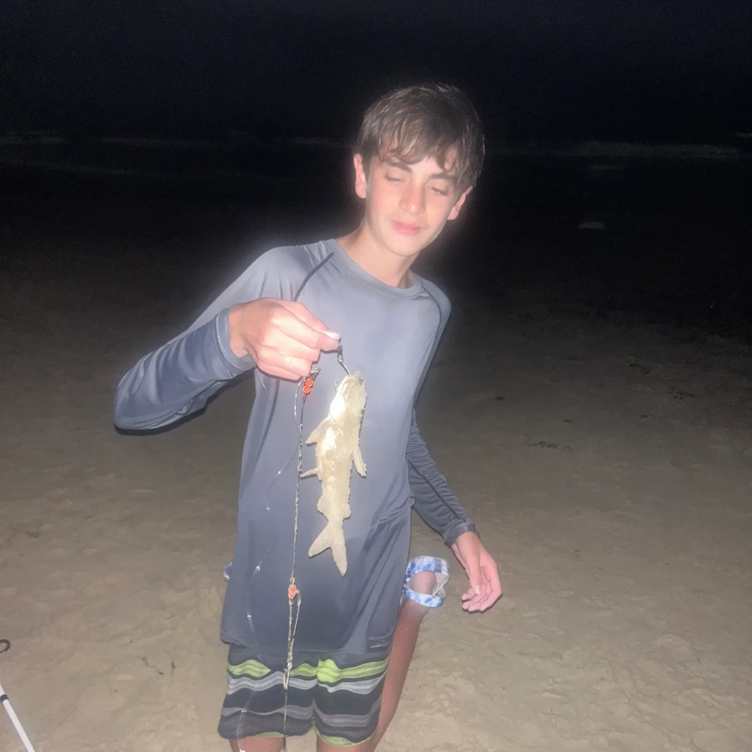 The most recent Gafftopsail sea catfish catches on Fishbrain
