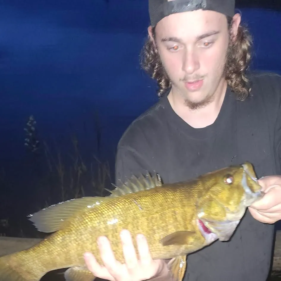 Smallmouth bass caught on Fishbrain