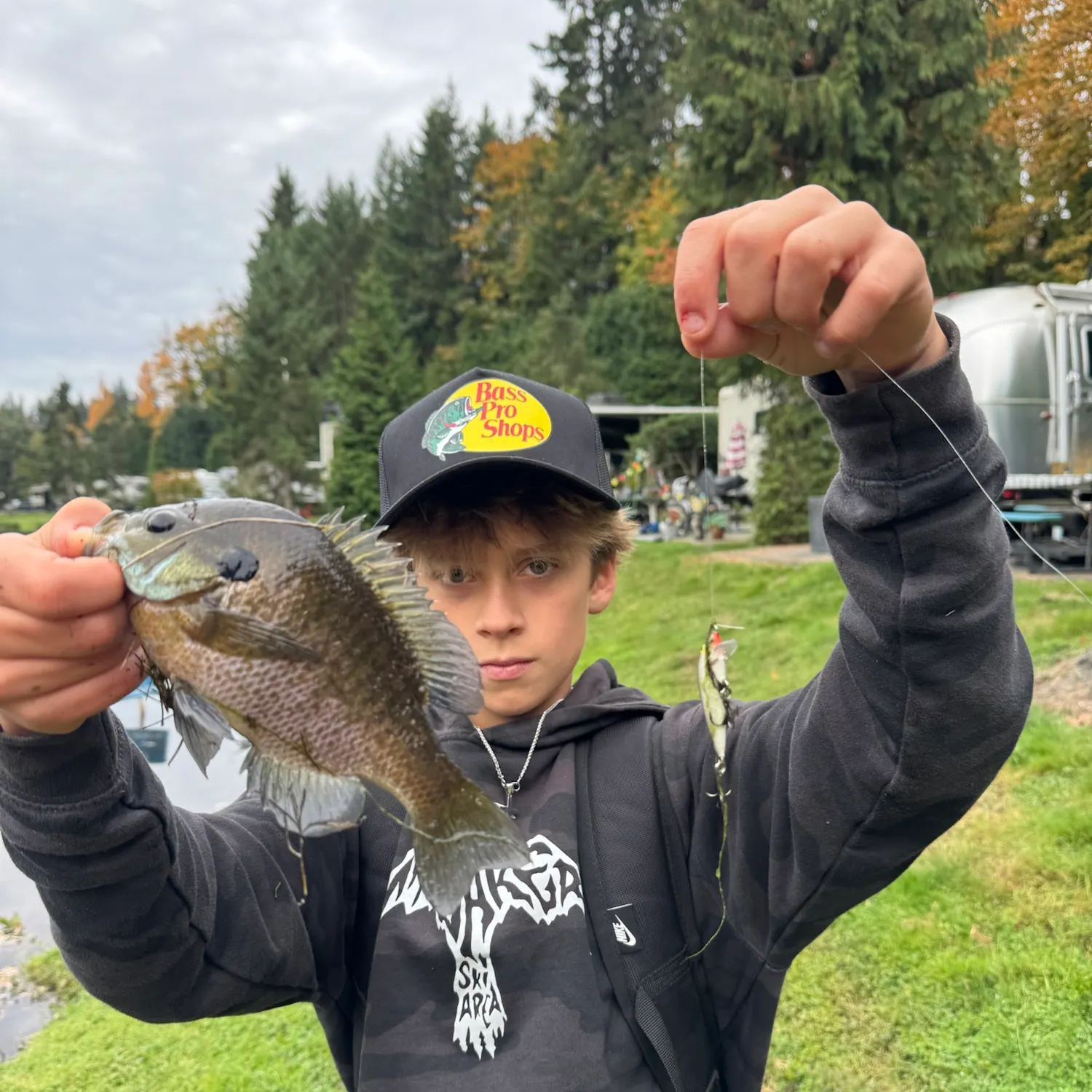 Bluegill caught on Fishbrain