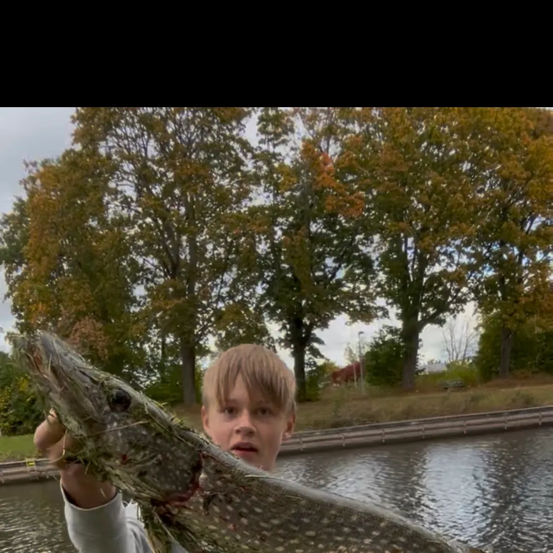 Northern pike caught on Fishbrain