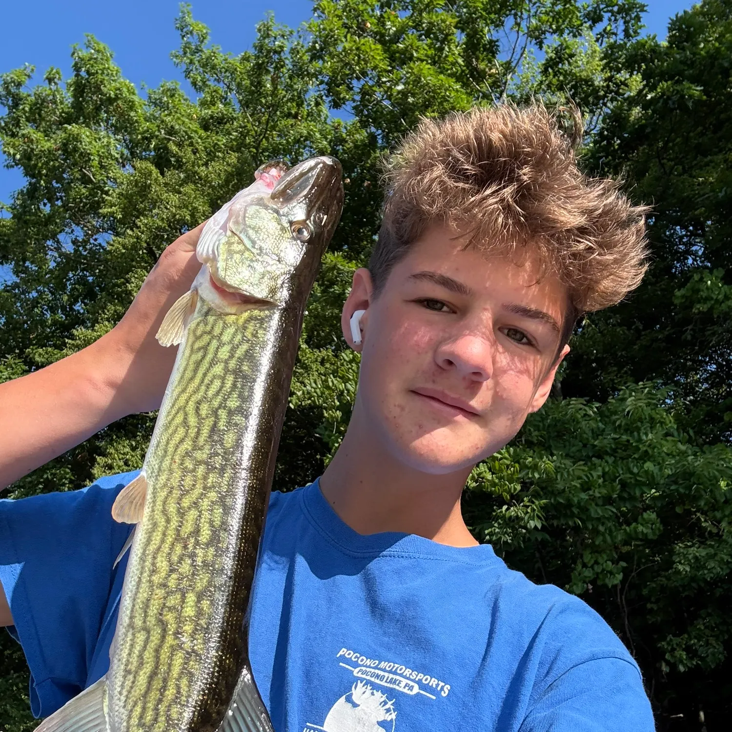 Chain pickerel caught on Fishbrain