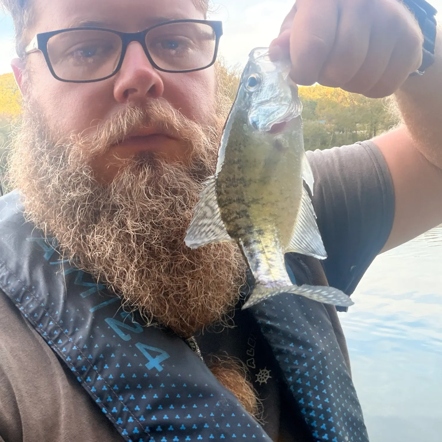 White crappie caught on Fishbrain