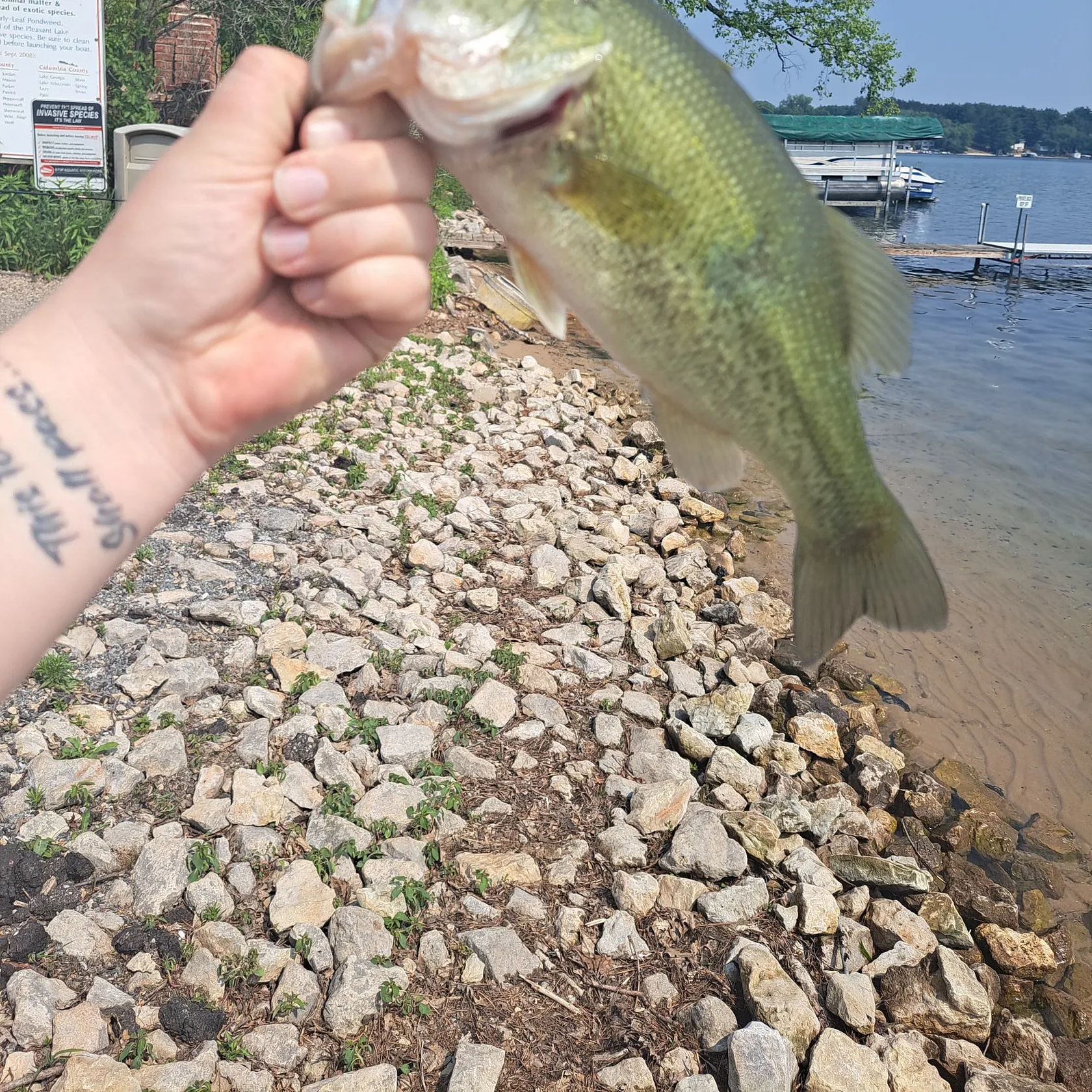 angler catch