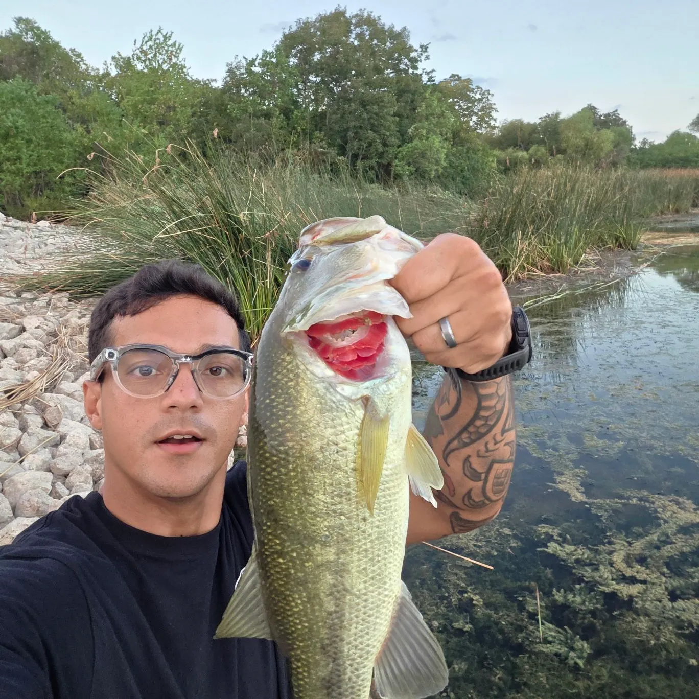 Largemouth bass caught on Fishbrain