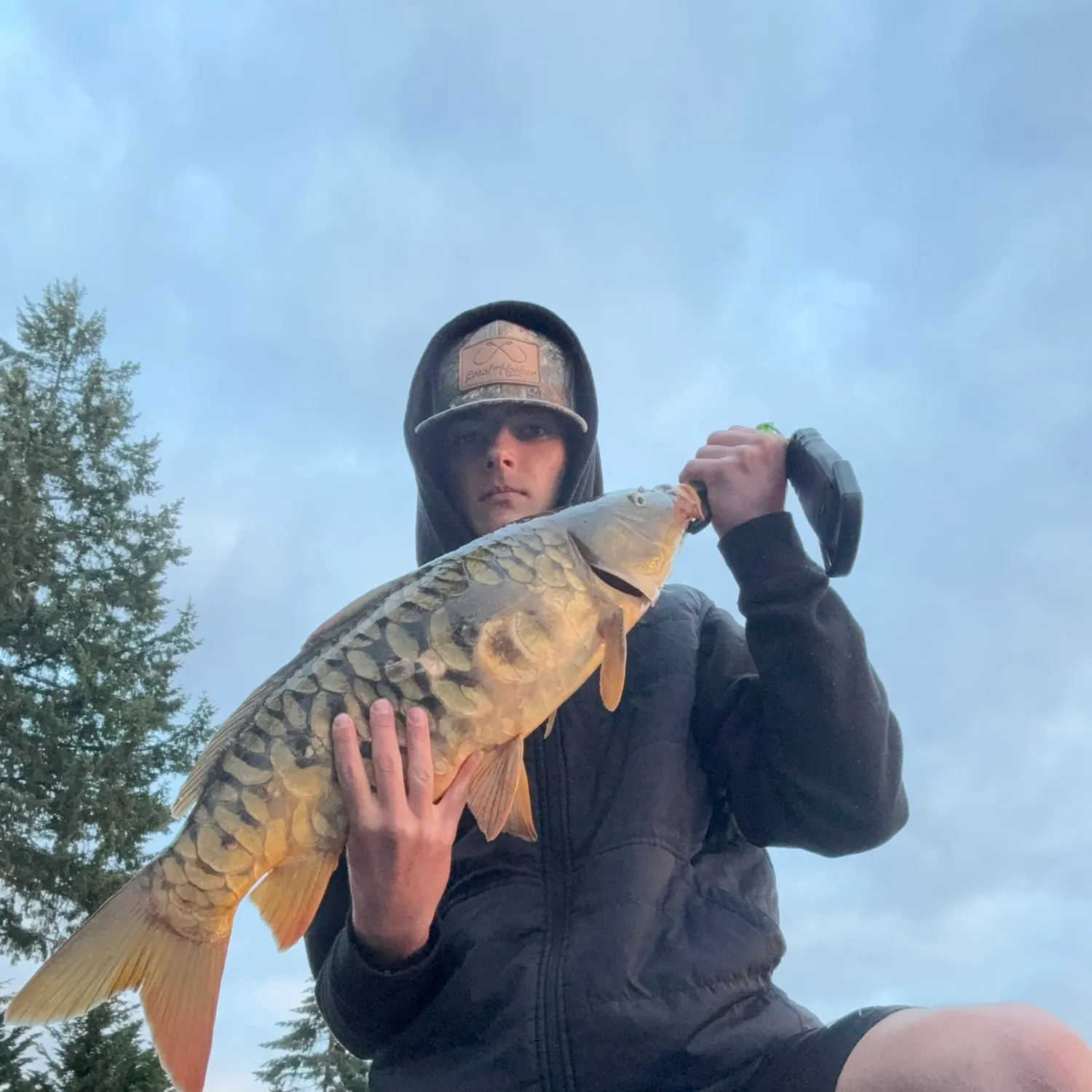 Mirror carp caught on Fishbrain