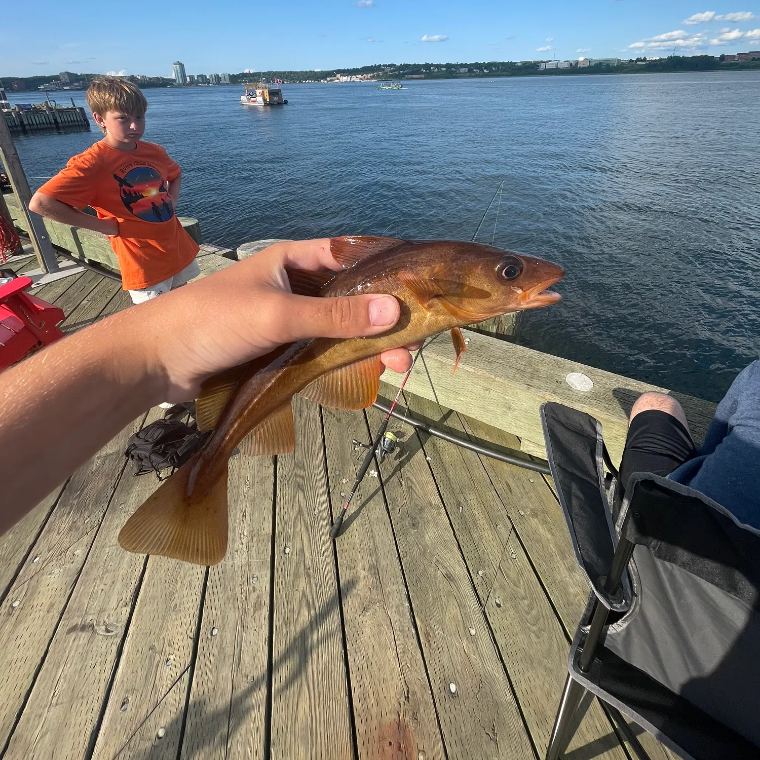 The most recent Atlantic cod catches on Fishbrain