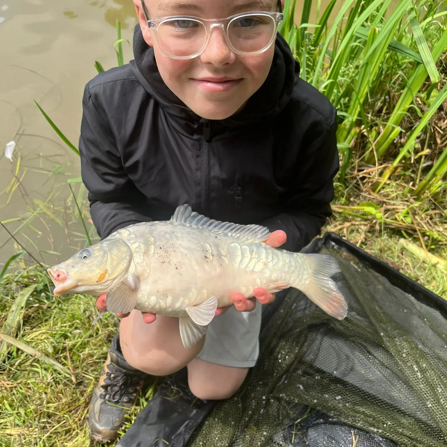The most recent Ghost carp catches on Fishbrain