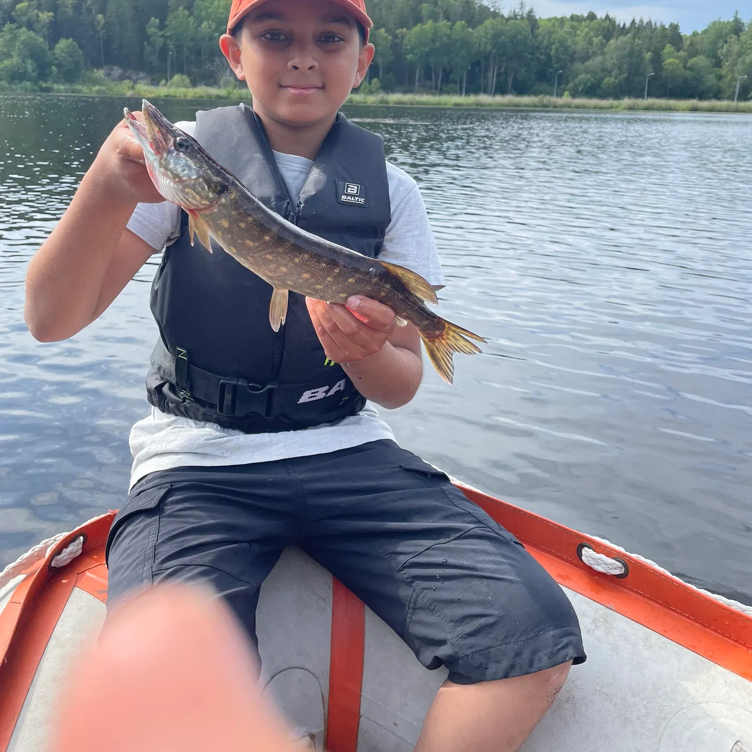 Northern pike caught on Fishbrain