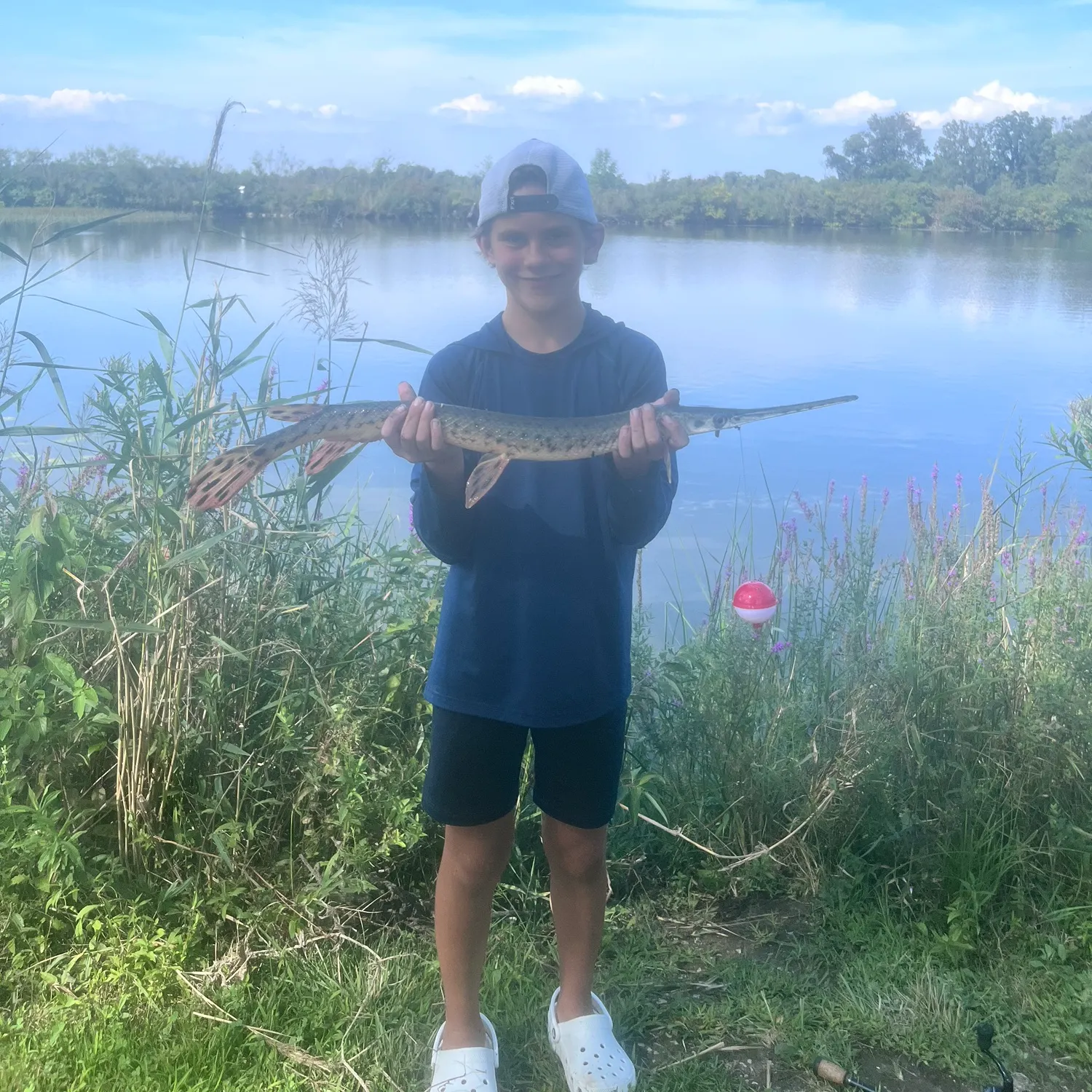 Longnose gar caught on Fishbrain