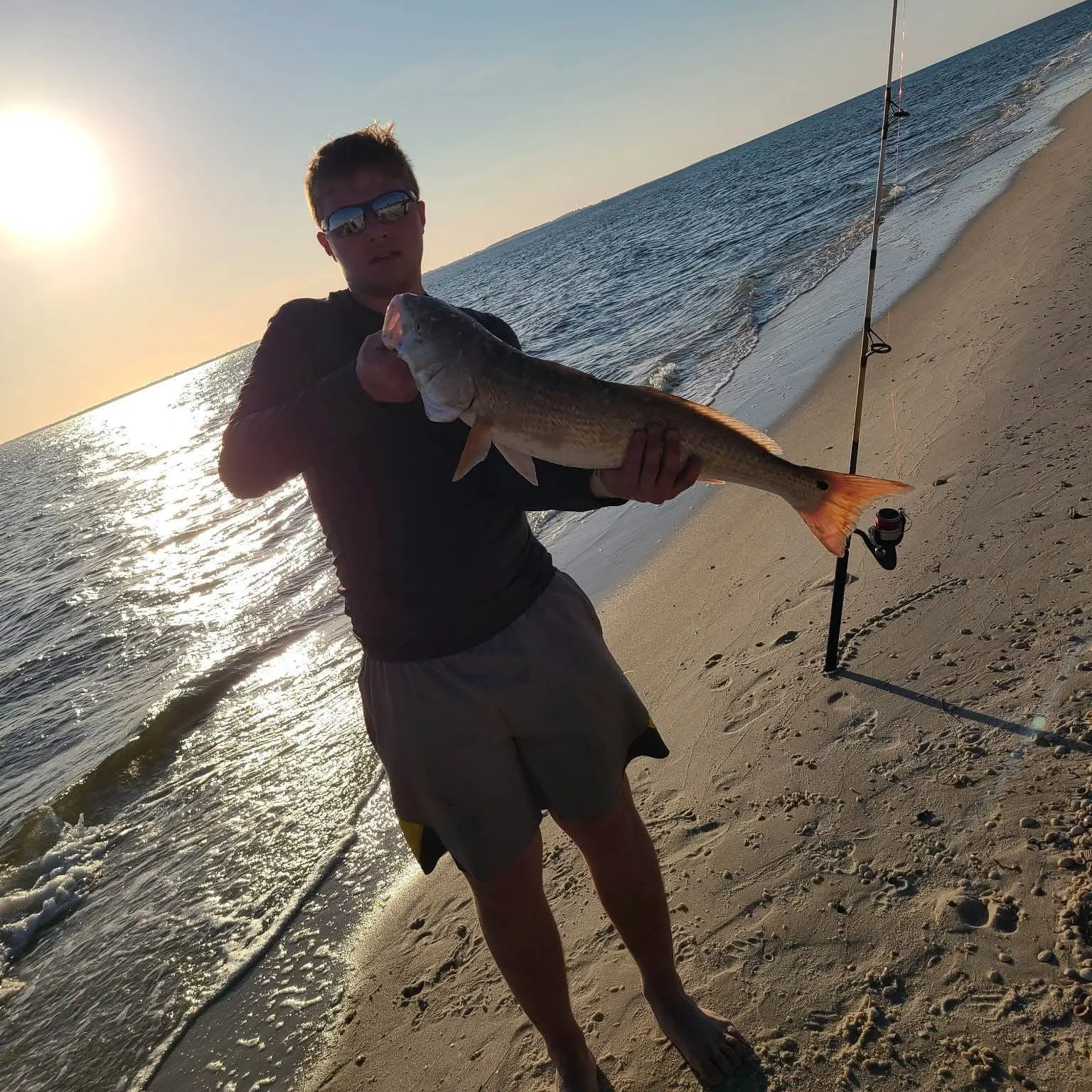 The most recent Red drum catches on Fishbrain