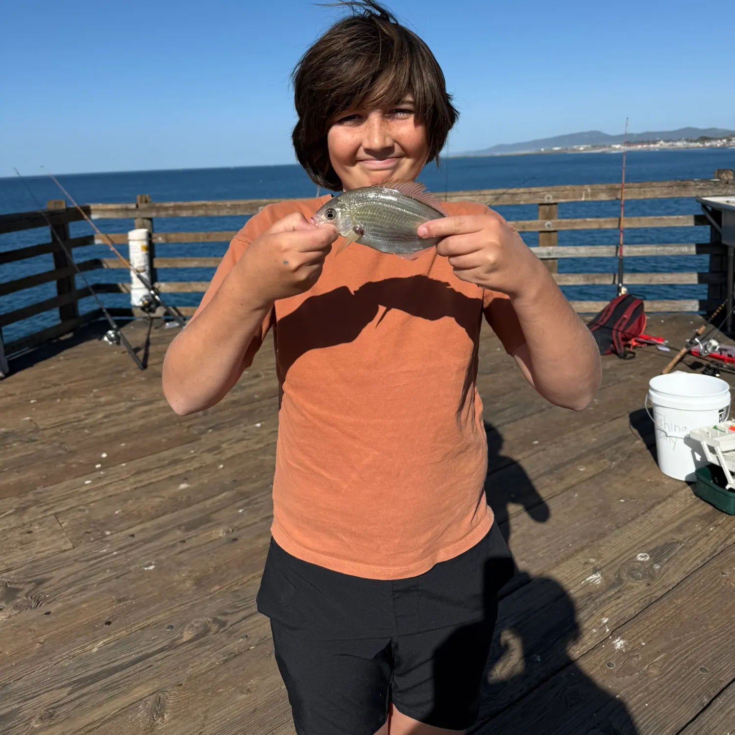 The most recent White seaperch catches on Fishbrain