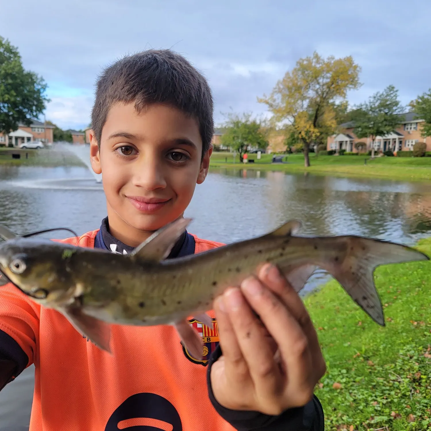 Channel catfish caught on Fishbrain