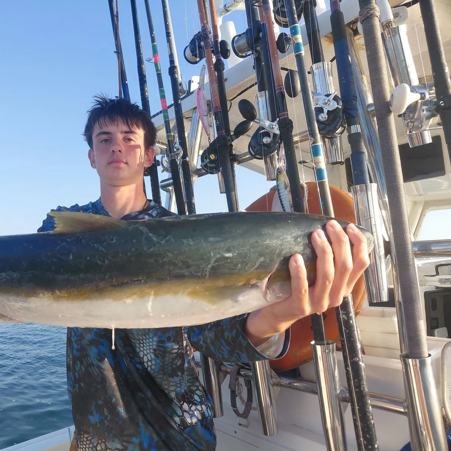 California yellowtail amberjack caught on Fishbrain