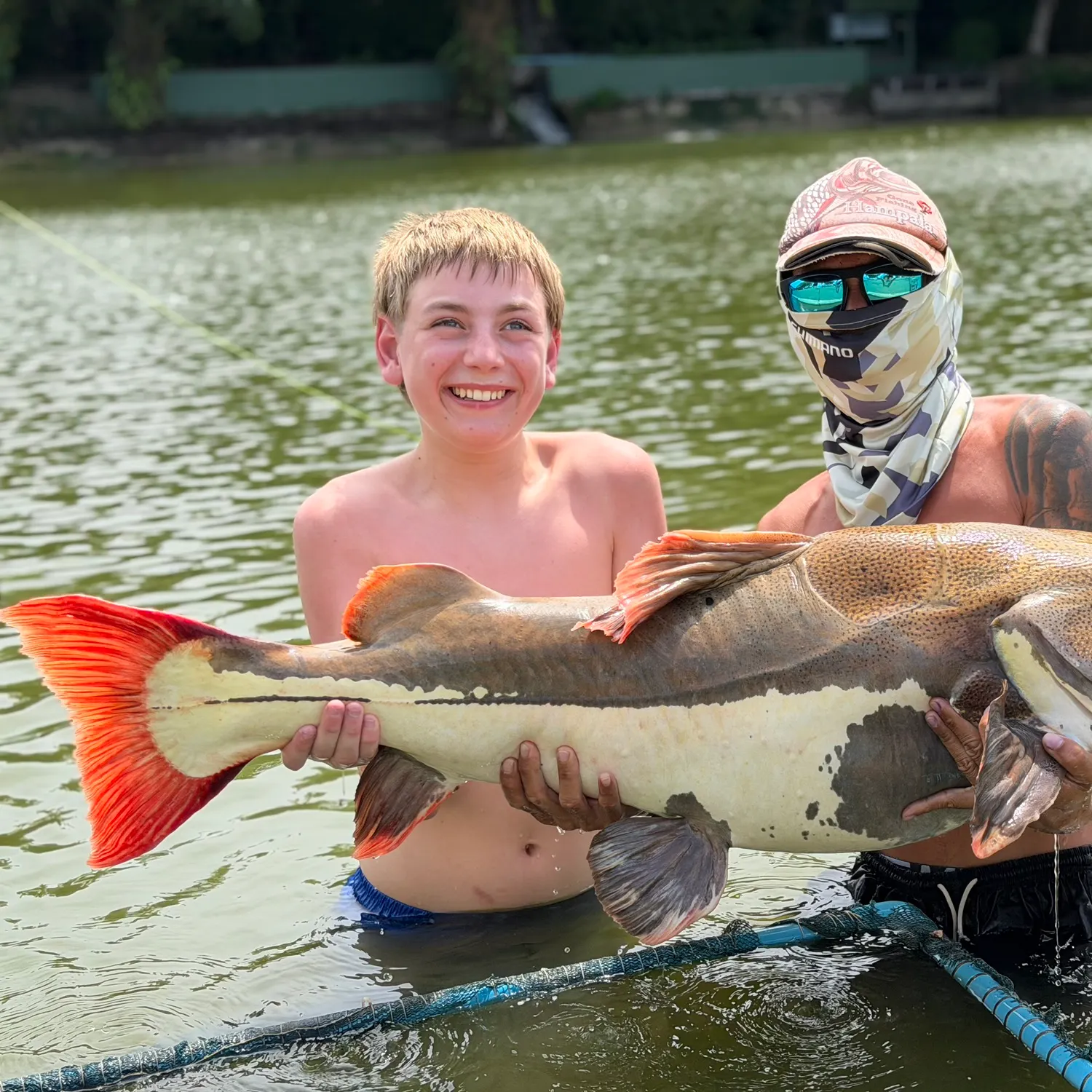 The most recent Redtail catfish catches on Fishbrain