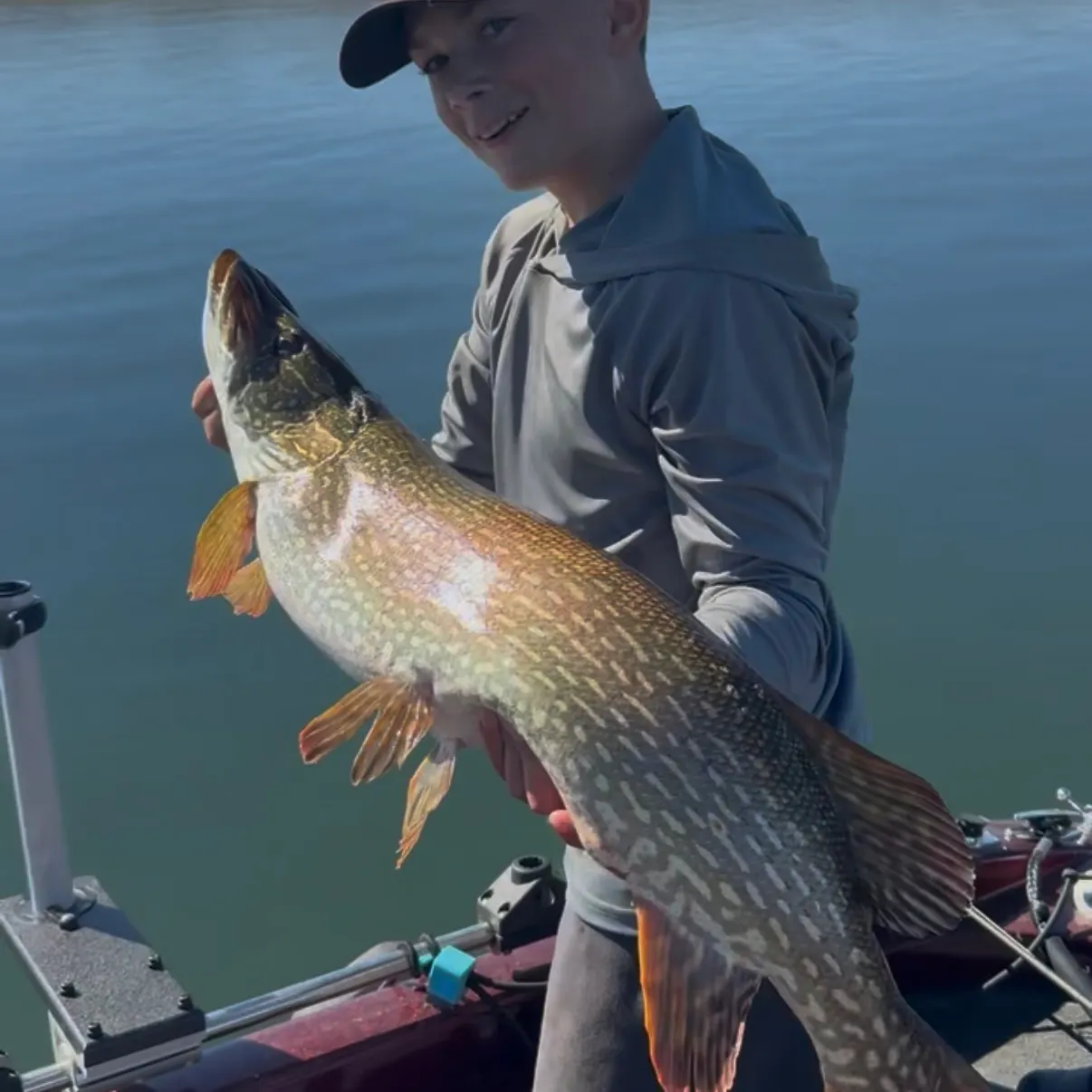 Northern pike caught on Fishbrain
