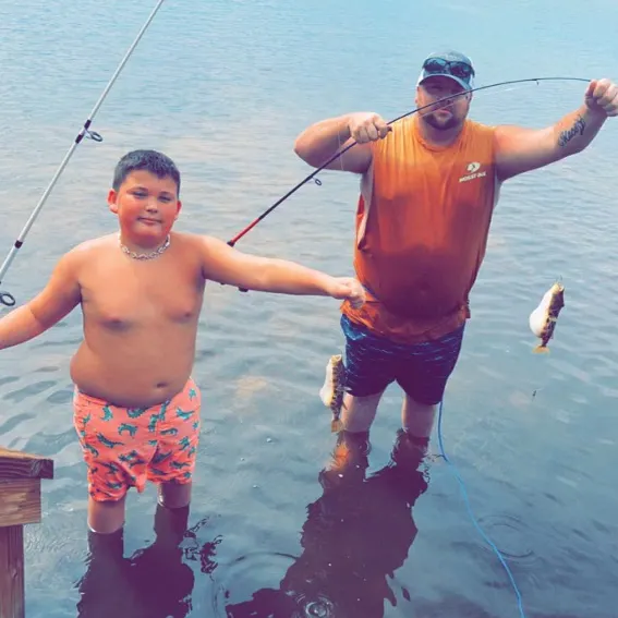 The most recent Panther puffer catches on Fishbrain
