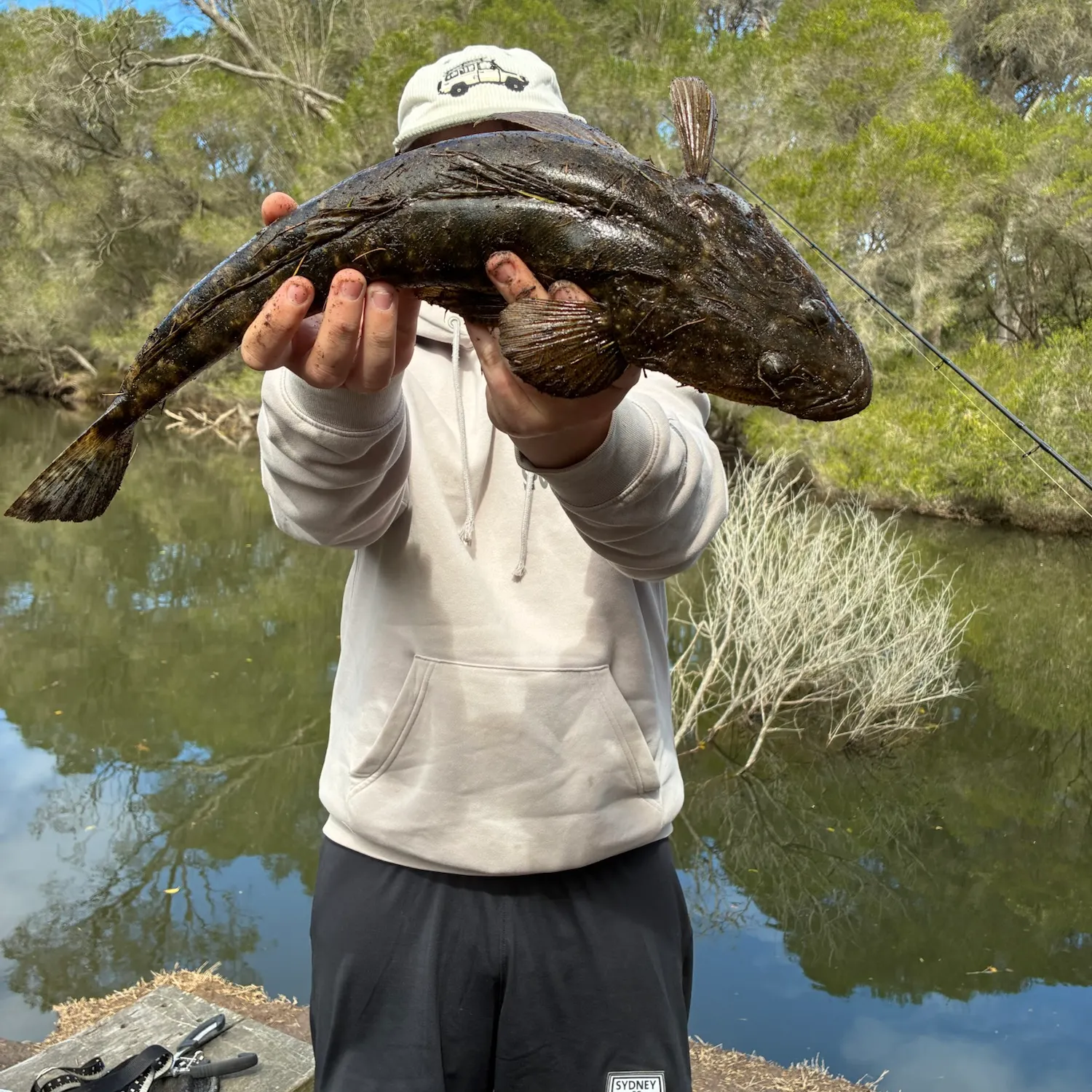 Dusky flathead caught on Fishbrain