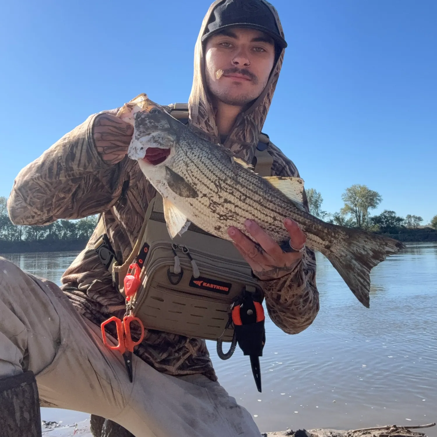 The most recent Wiper catches on Fishbrain