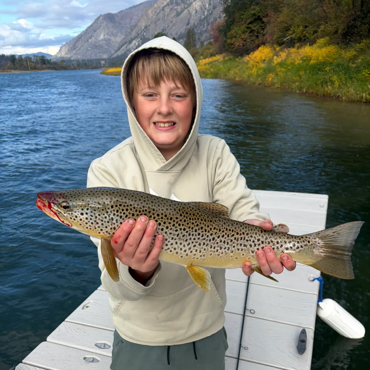 Brown trout caught on Fishbrain