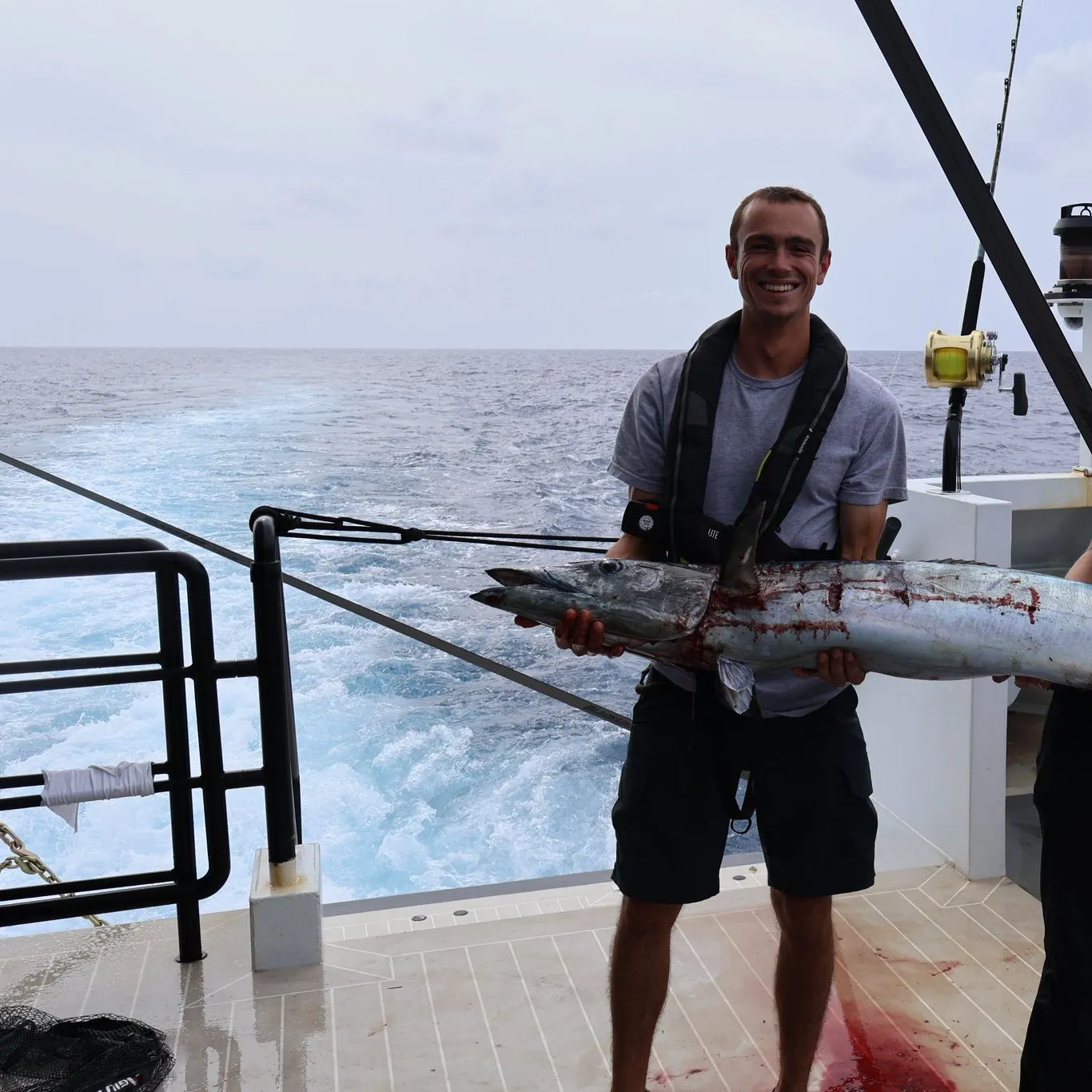 The most recent Wahoo catches on Fishbrain