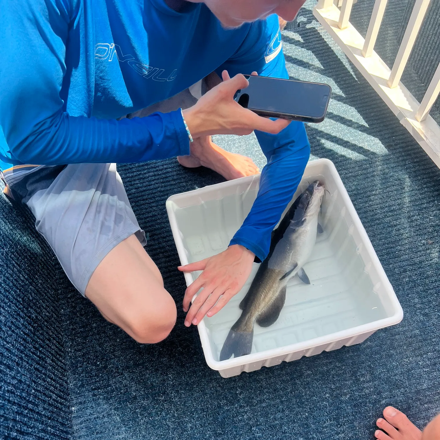 catch